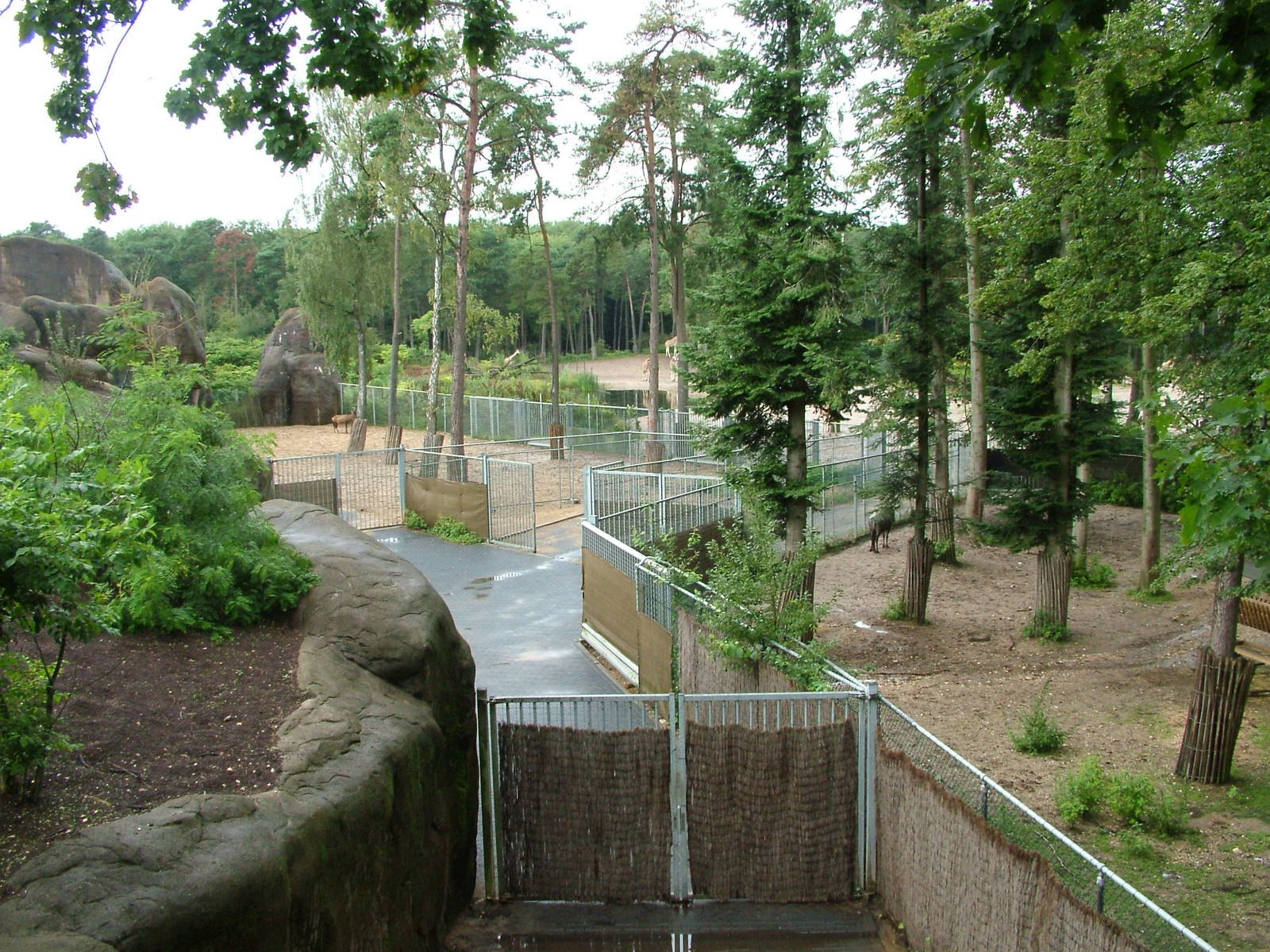 Ungulate Holding Yards at Burgers Zoo Arnhem, 29/08/10