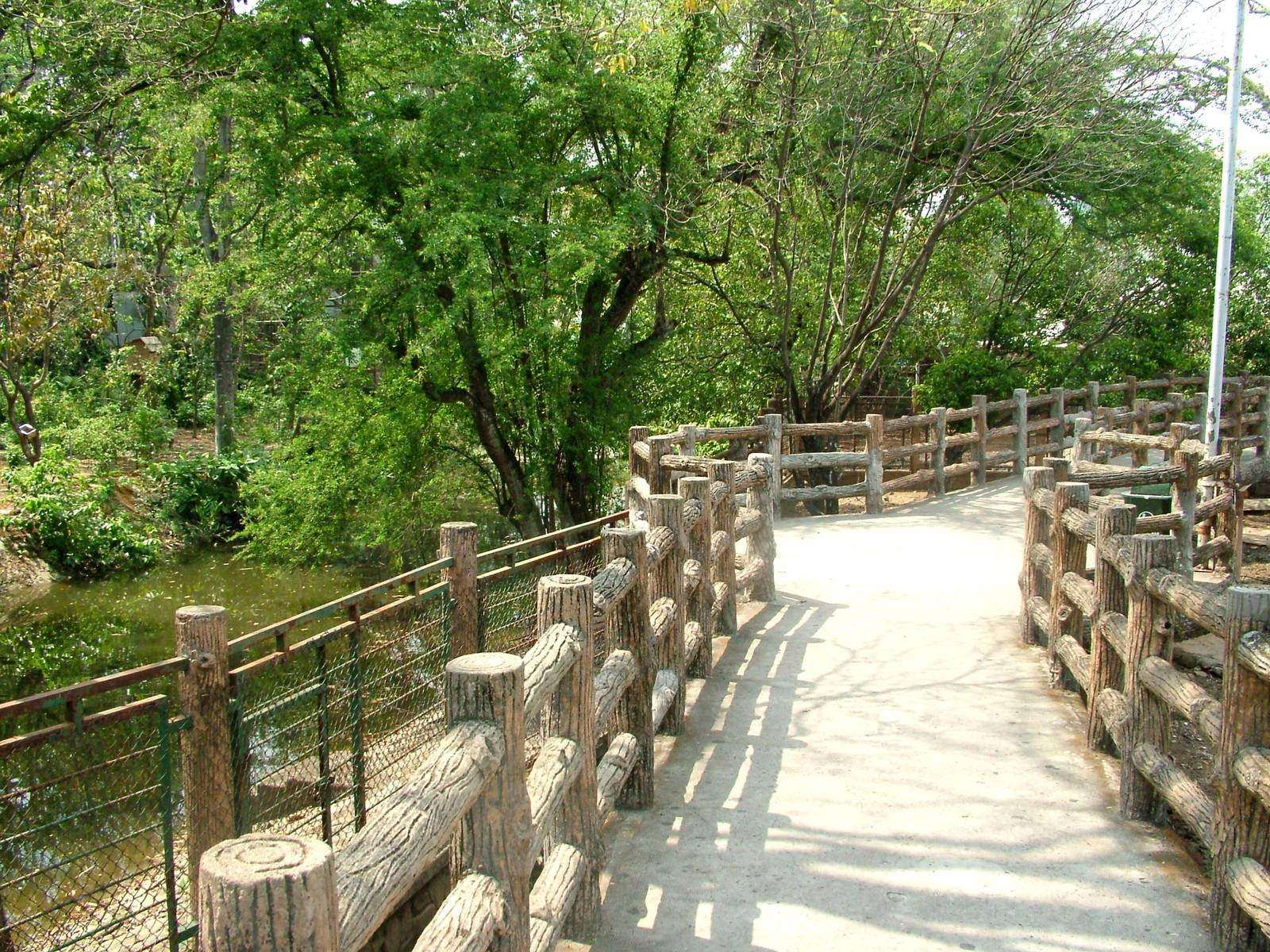 Ungulate Viewing at Saigon Zoo, 16/03/12