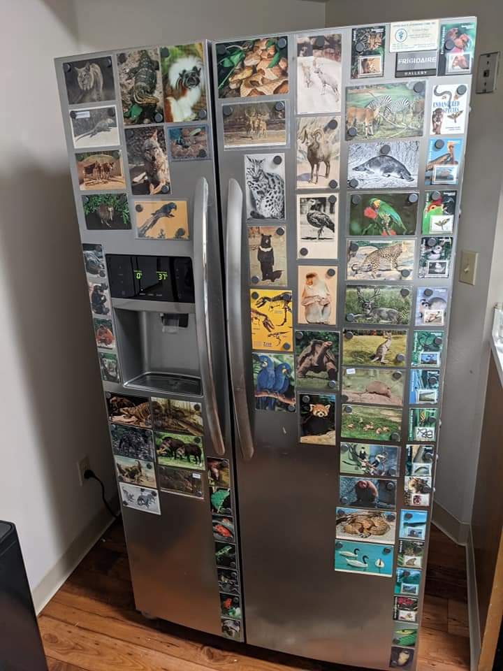 Ungulatenerd92's Refrigerator II