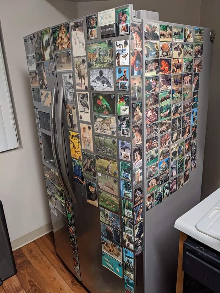 Ungulatenerd92's Refrigerator