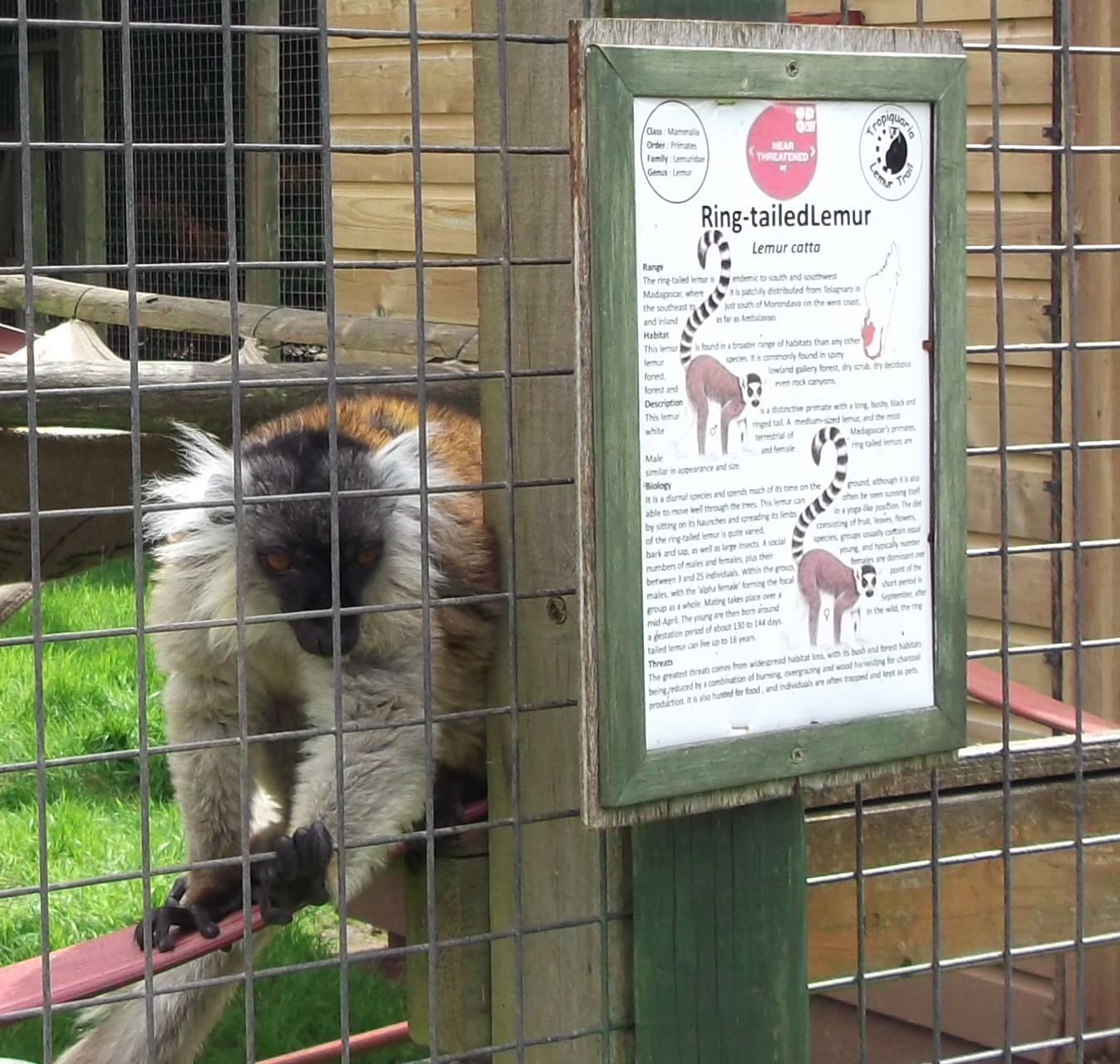 Unhelpful Lemur  12/4/2014