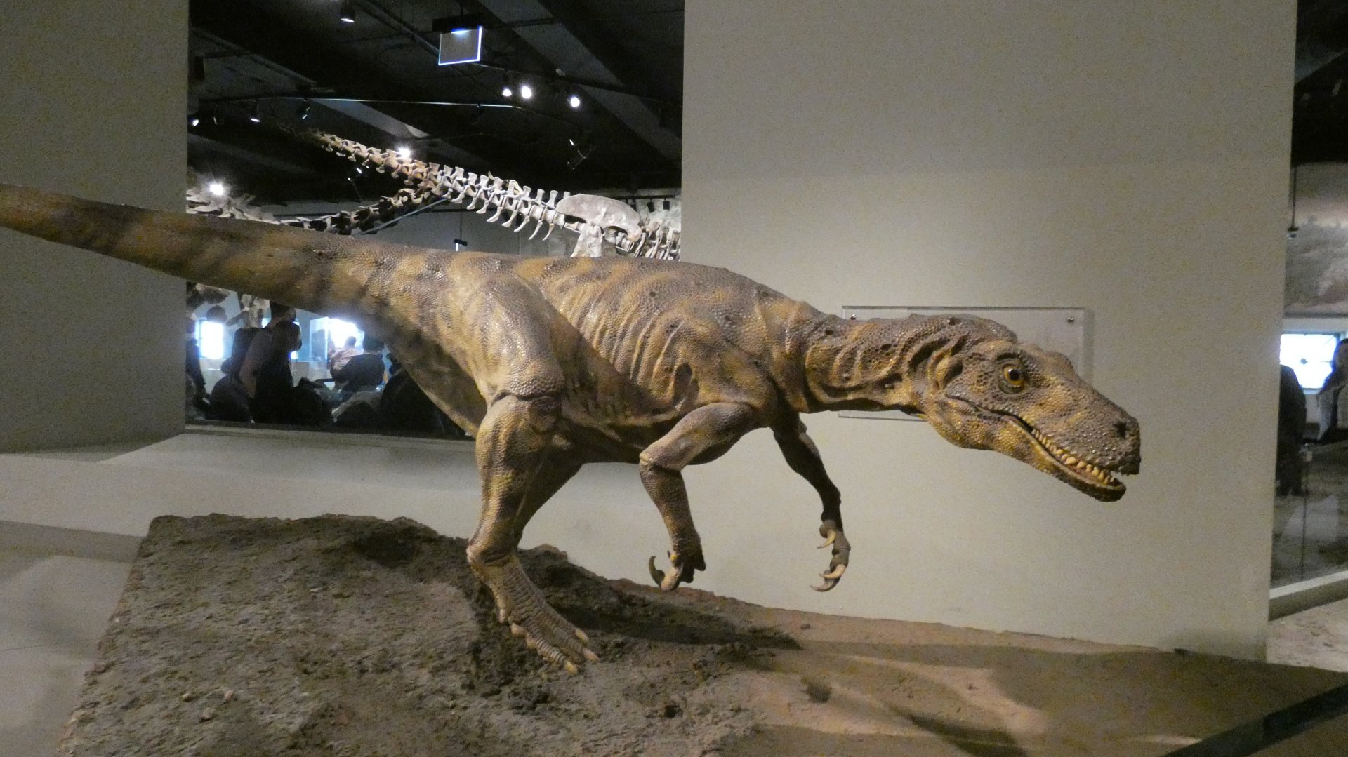 Unidentified Dinosaur Replica, The Hall of Dinosaurs, Evolving Planet - Feb. 2022
