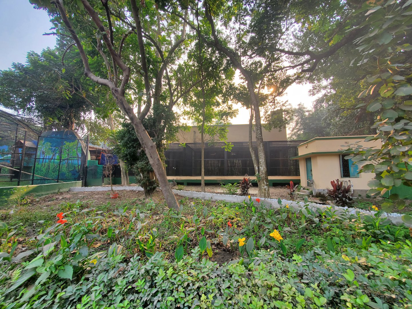 Unidentified Macaque in Cage - January 2023