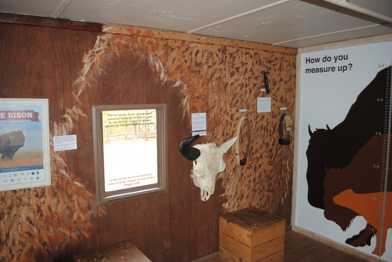 Union Pacfic Railroad Car Interior