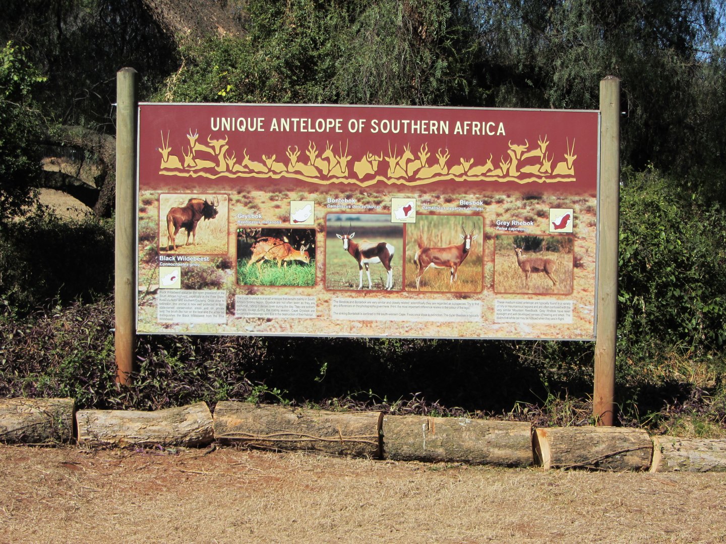 "Unique Antelope of Southern Africa" Signage