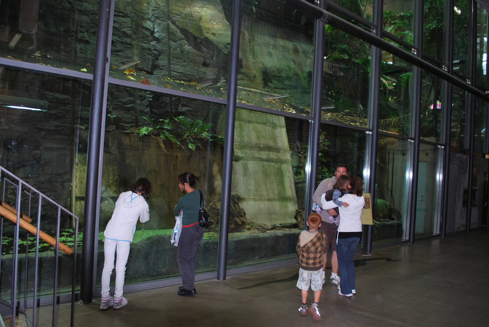 Universeum - Anacondas!