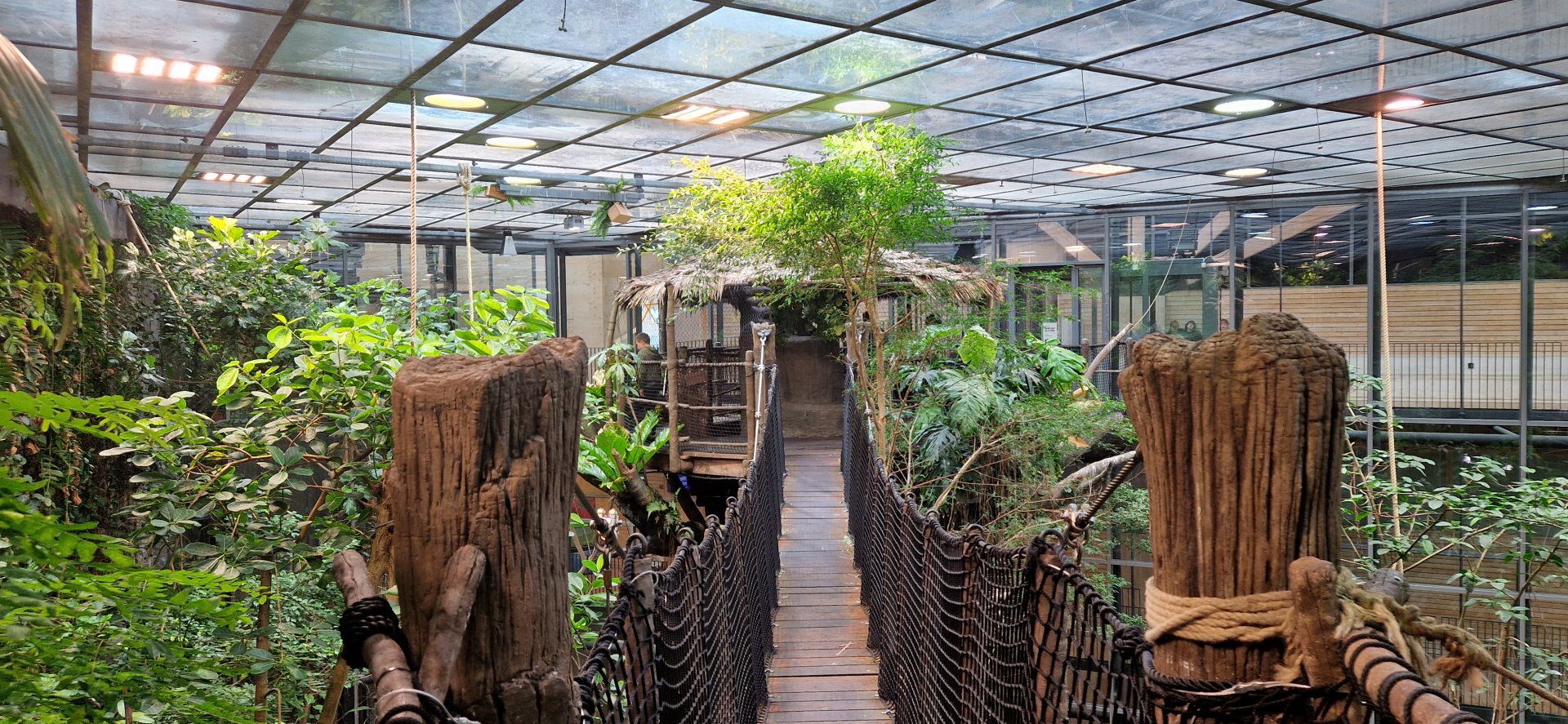 Universeum Reinforest