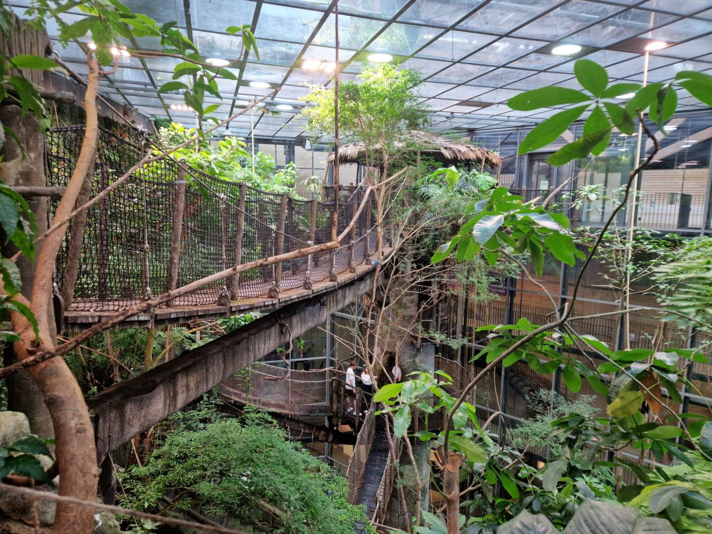 Universeum Reinforest