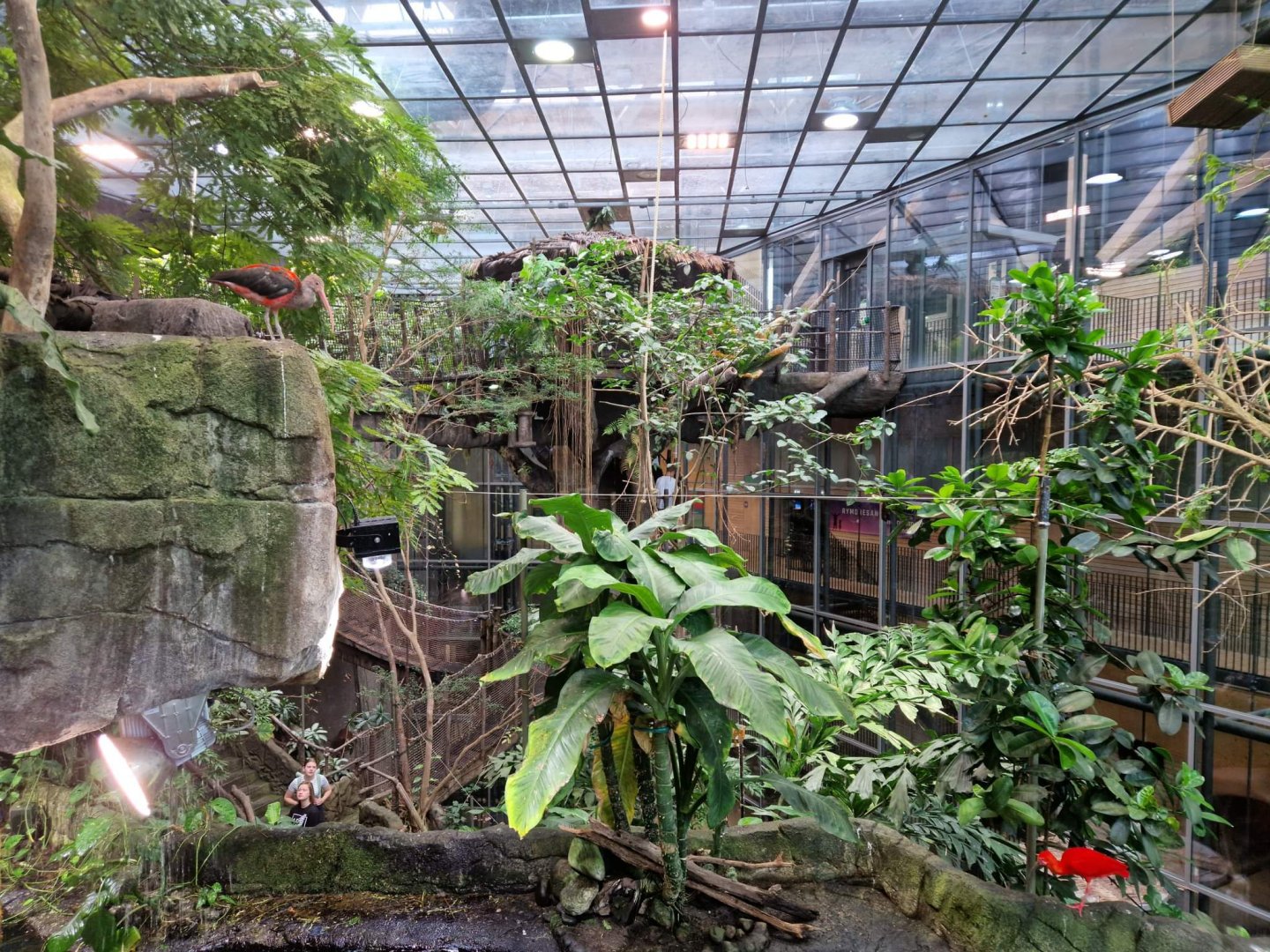 Universeum Reinforest