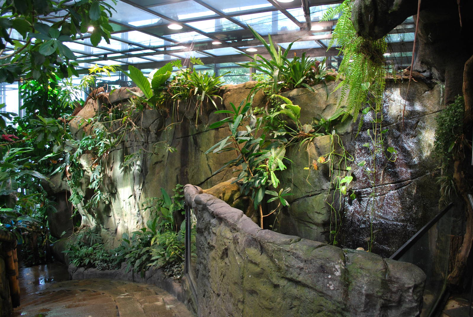 Universeum - The Rain Forest