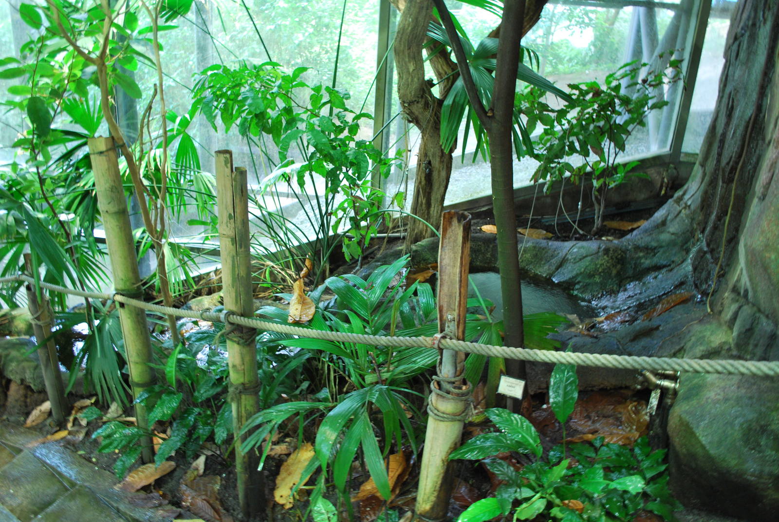 Universeum - The Rain Forest