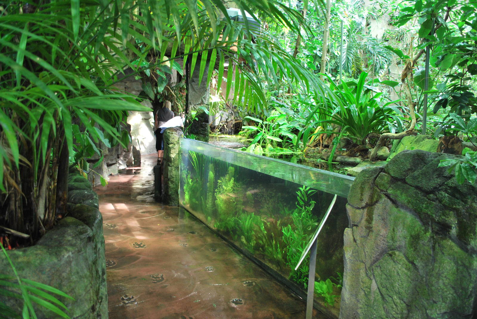 Universeum - The Rain Forest