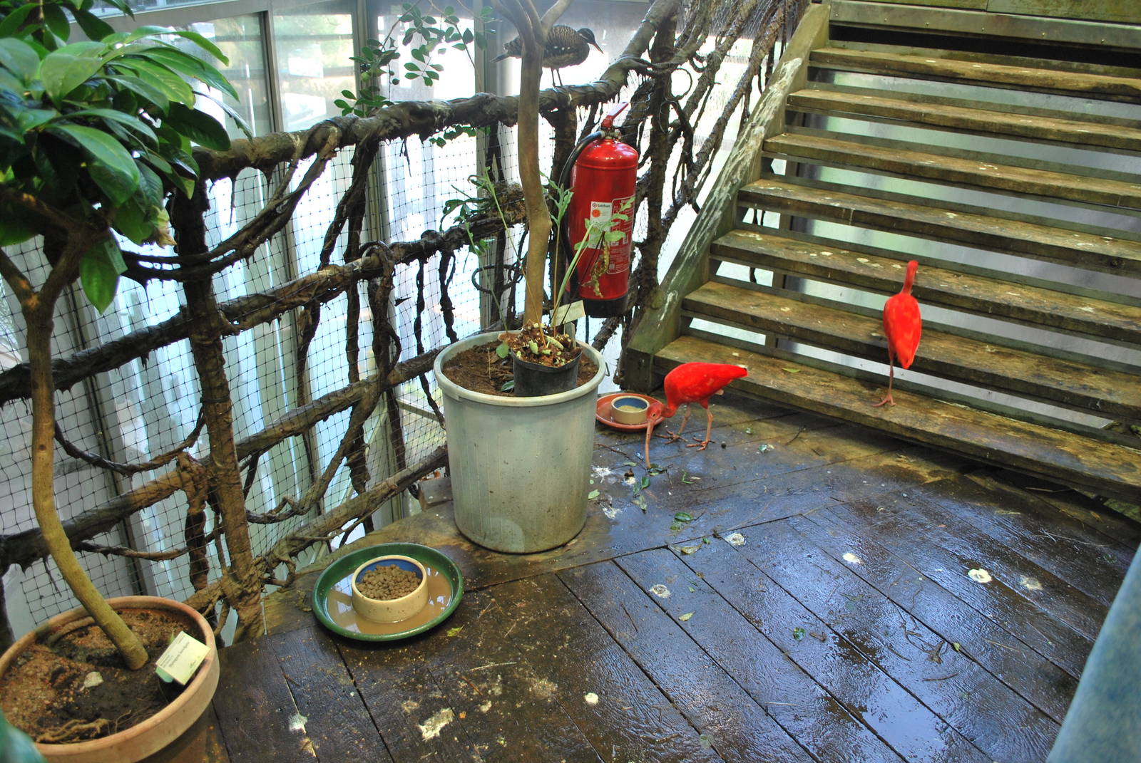 Universeum - The Rain Forest