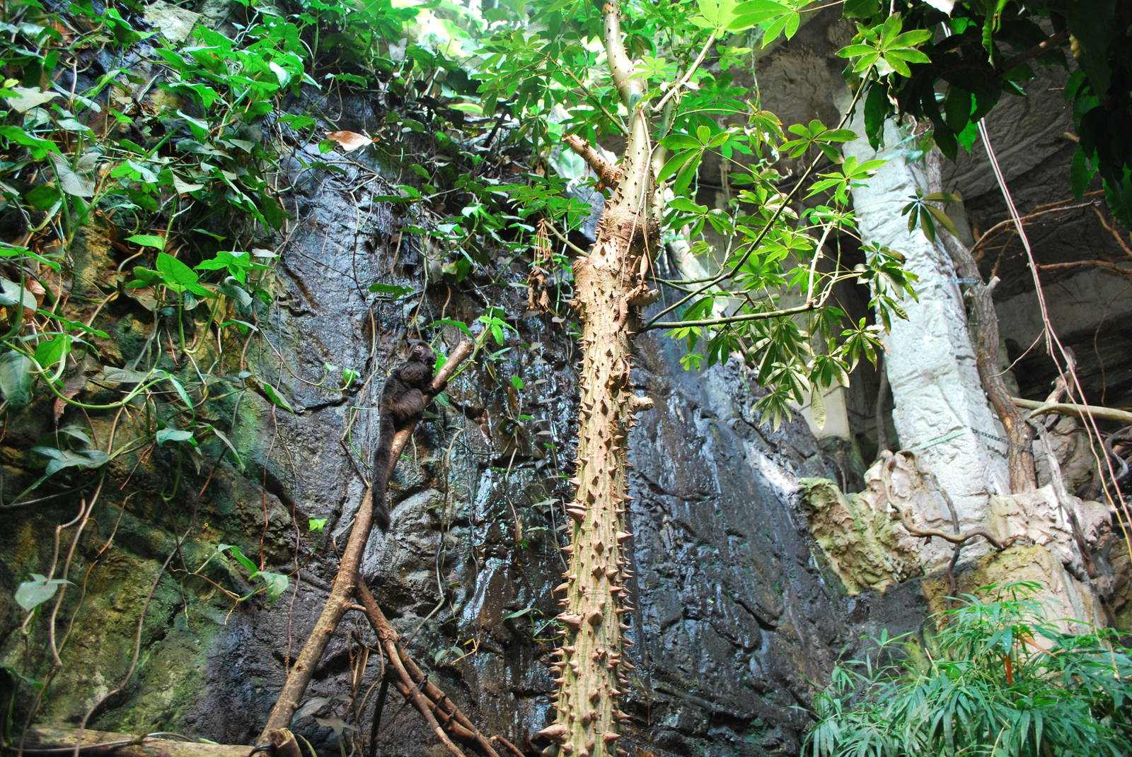Universeum - The Rain Forest