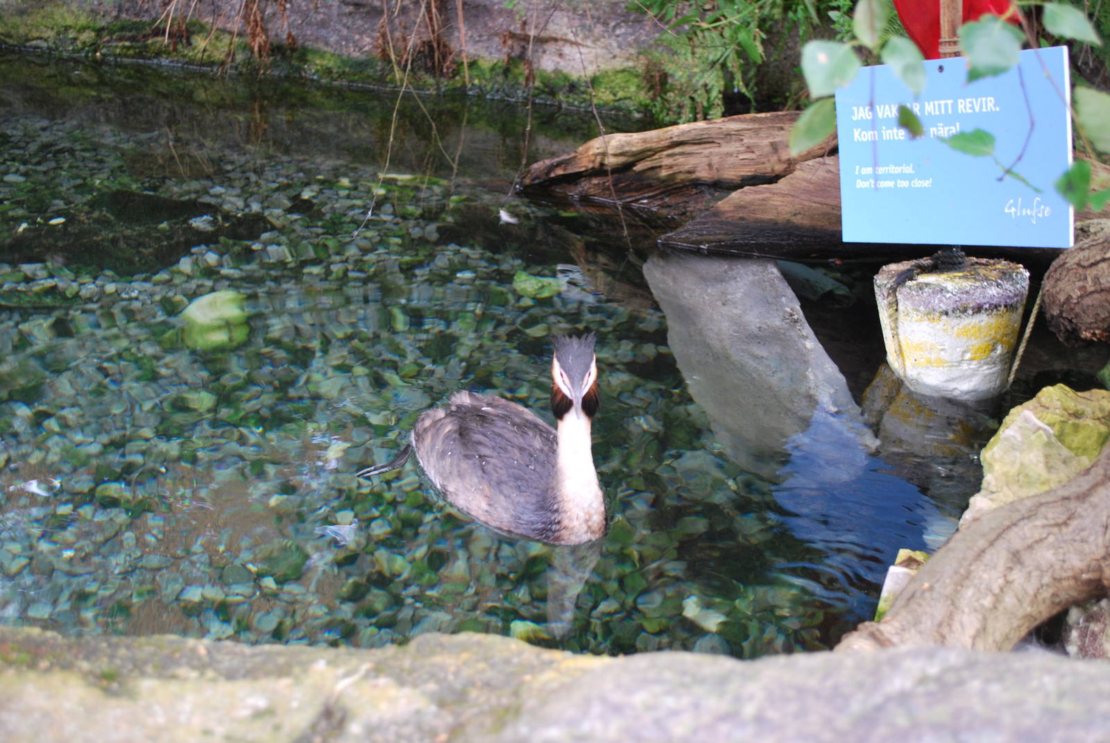 Universeum - Water´s Way