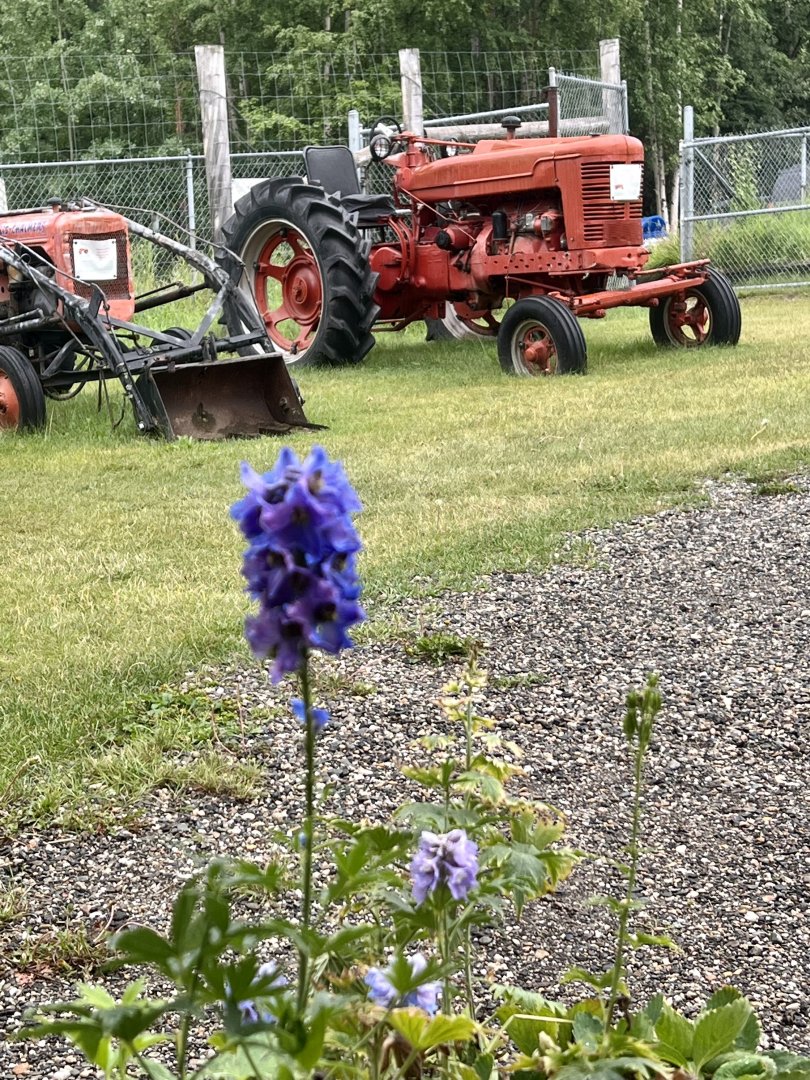 University of Alaska Fairbanks Large Animal Research Station.