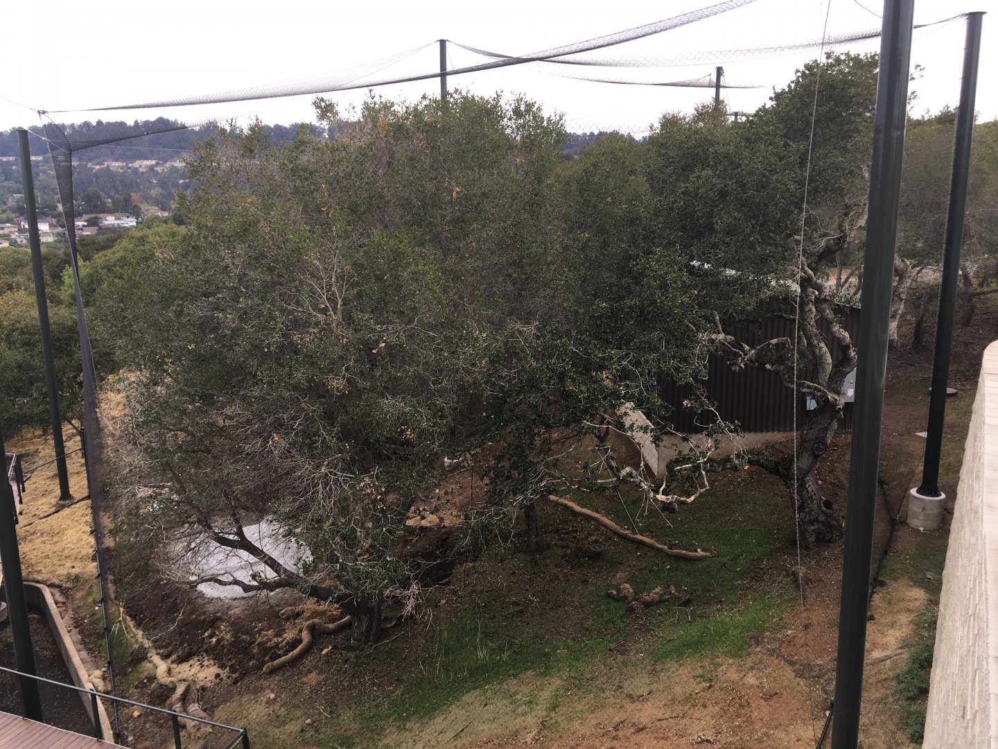 Unknown California trail exhibit
