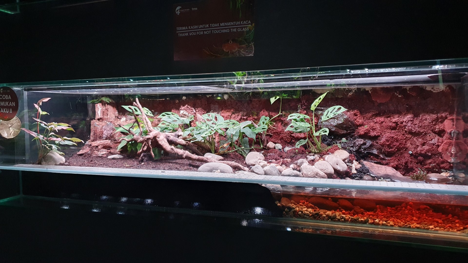 Unknown Enclosure - Museum Komodo