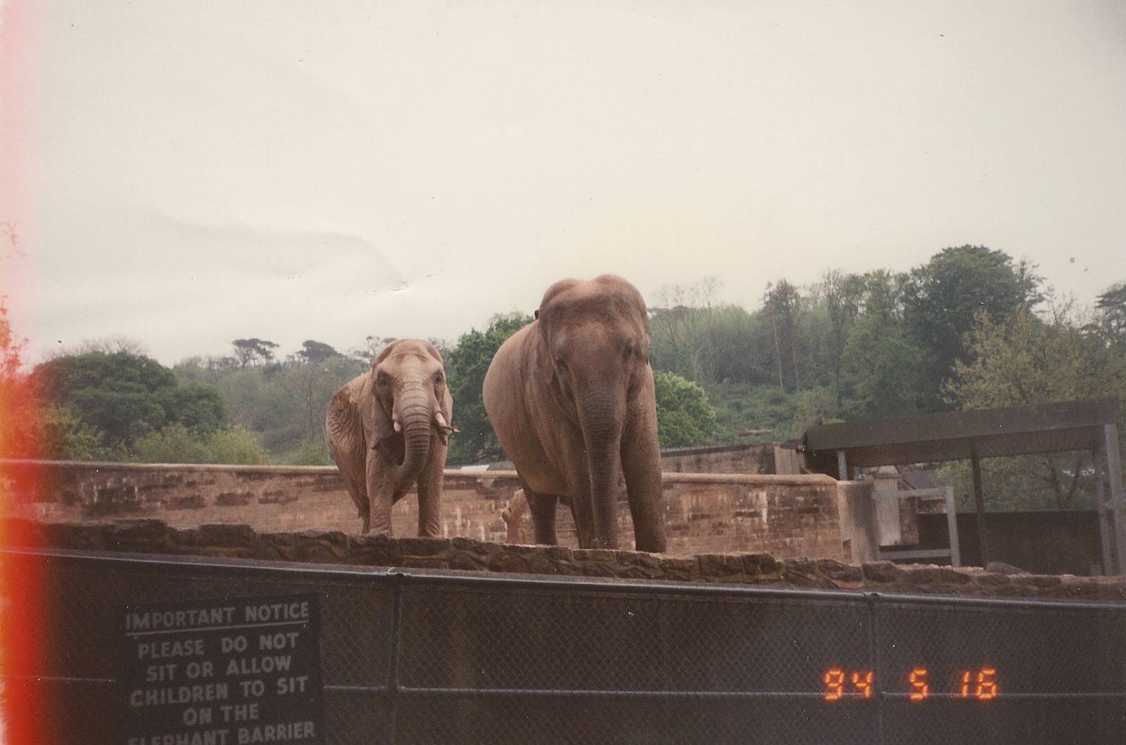 Unknown Zoo 1994