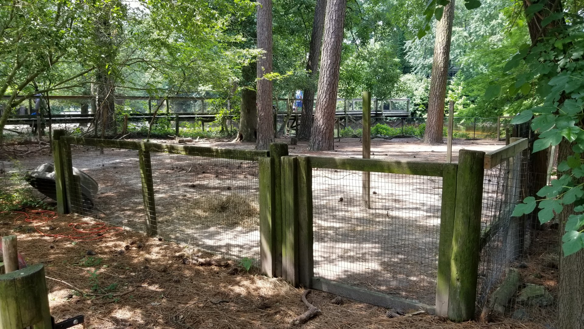 Unlabeled enclosure between cavies and boardwalk