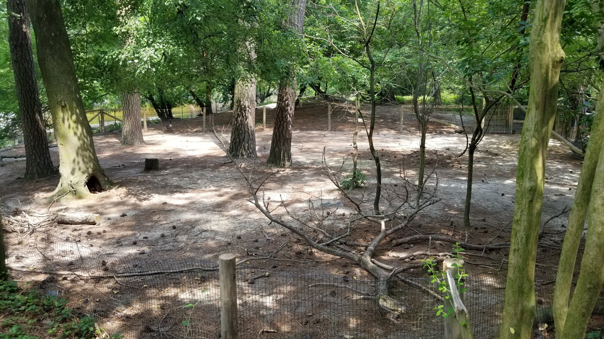 Unlabeled enclosure from boardwalk