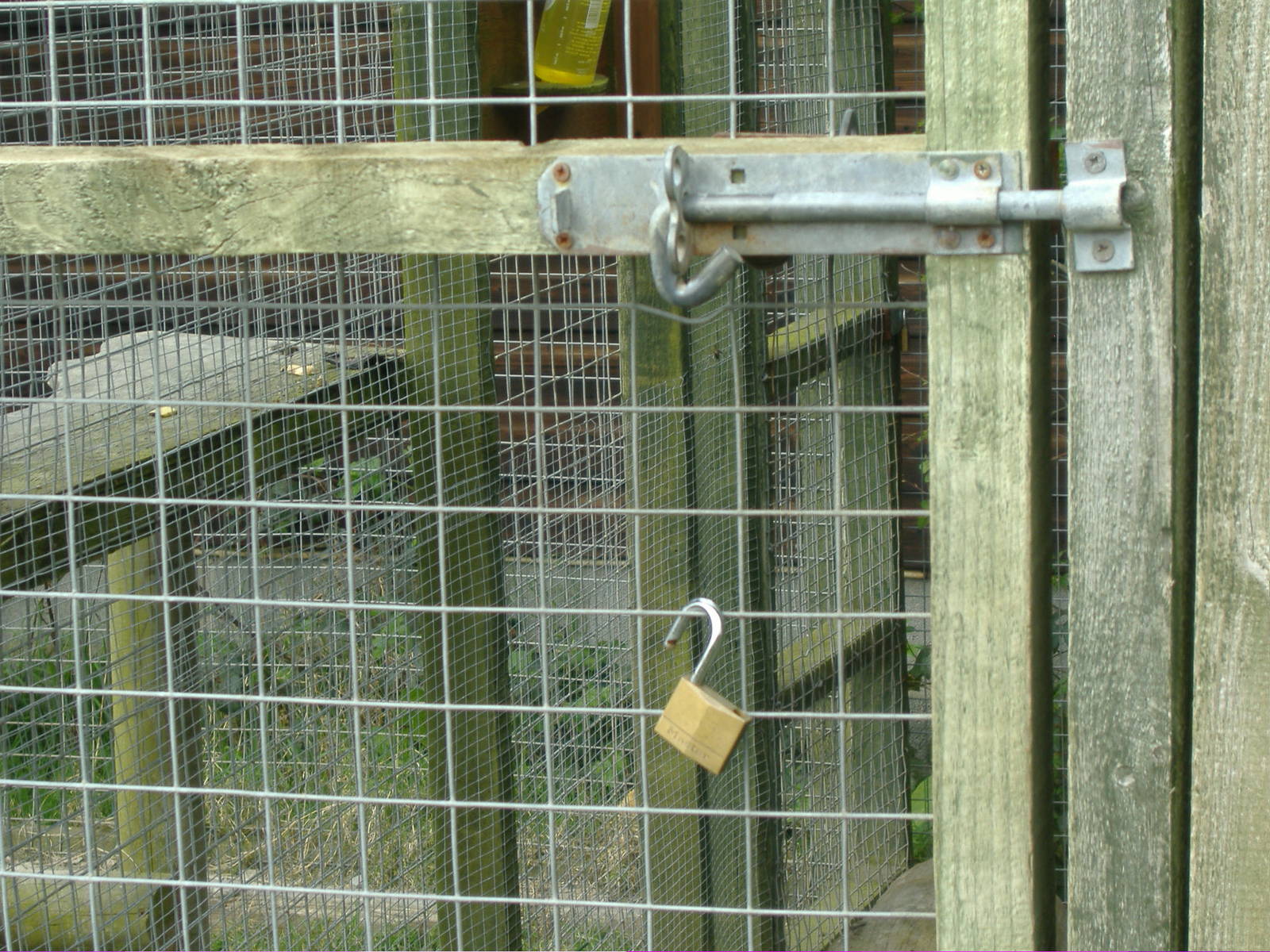 Unlocked Capuchin Enclosure Animalarium