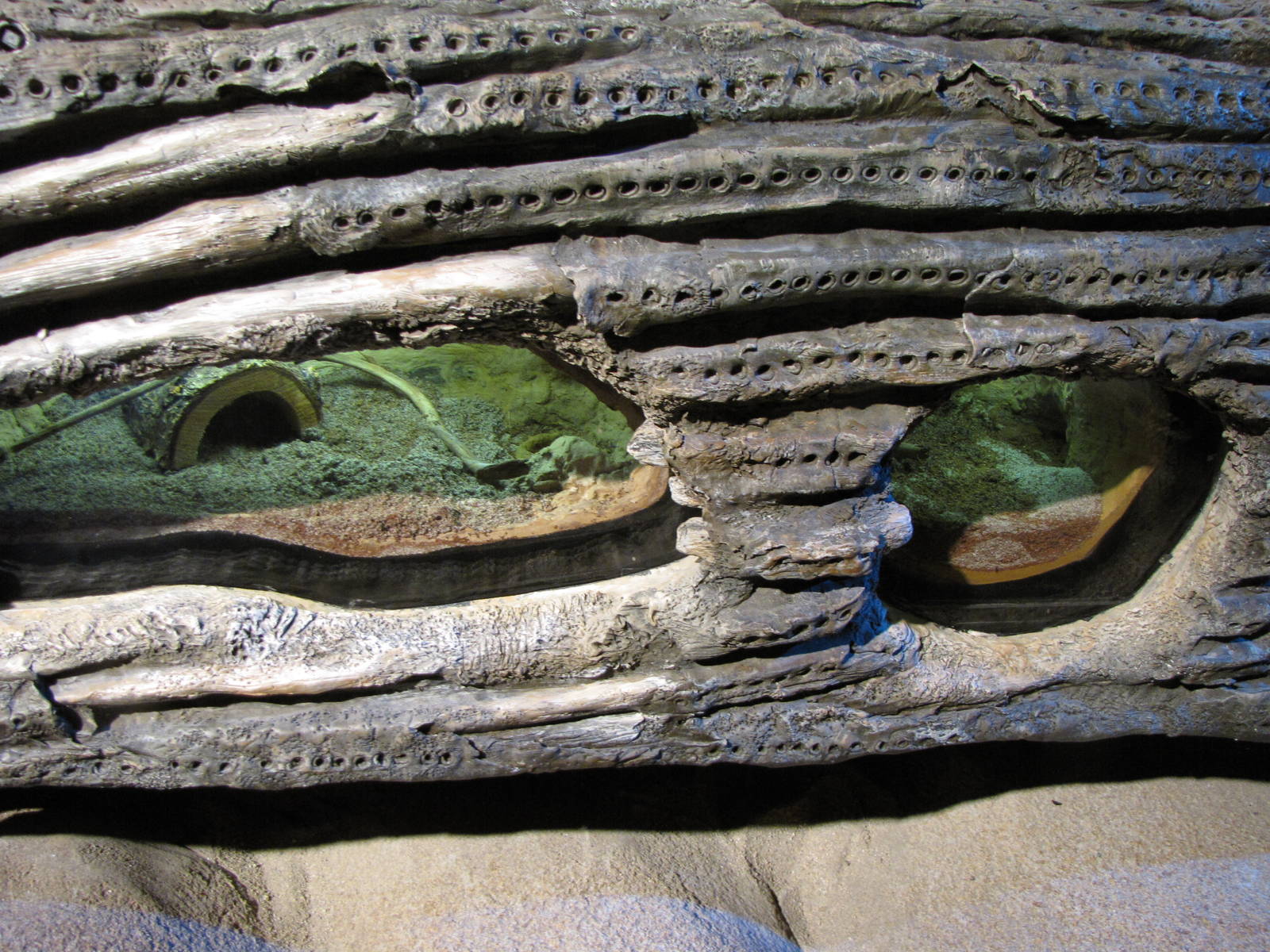 Unmarked Displays - Desert Zone