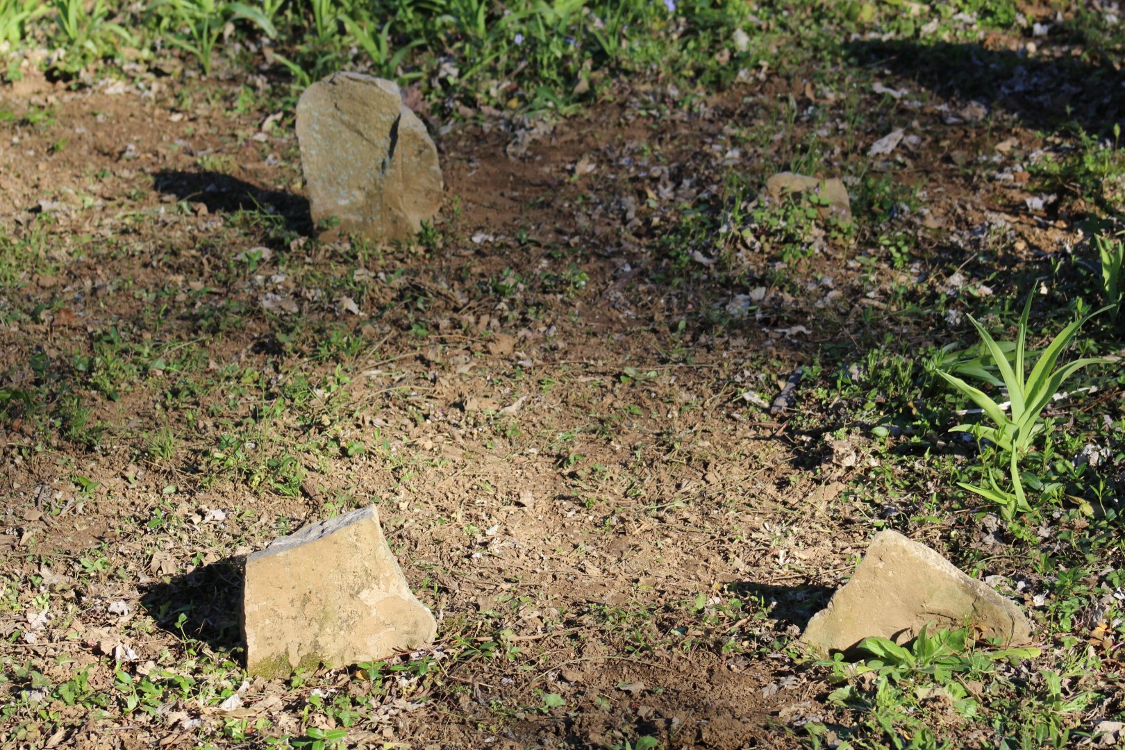 Unmarked Slave Graves