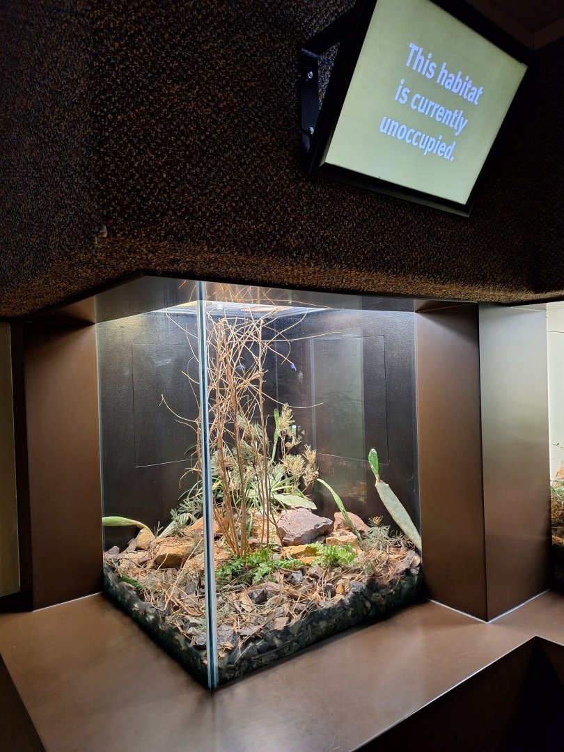 Unoccupied terrarium