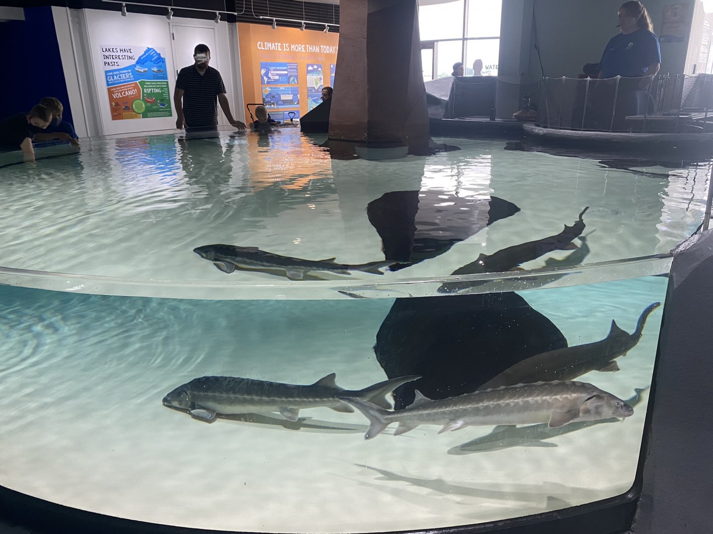 Unsalted Seas - Sturgeon Touch Tank