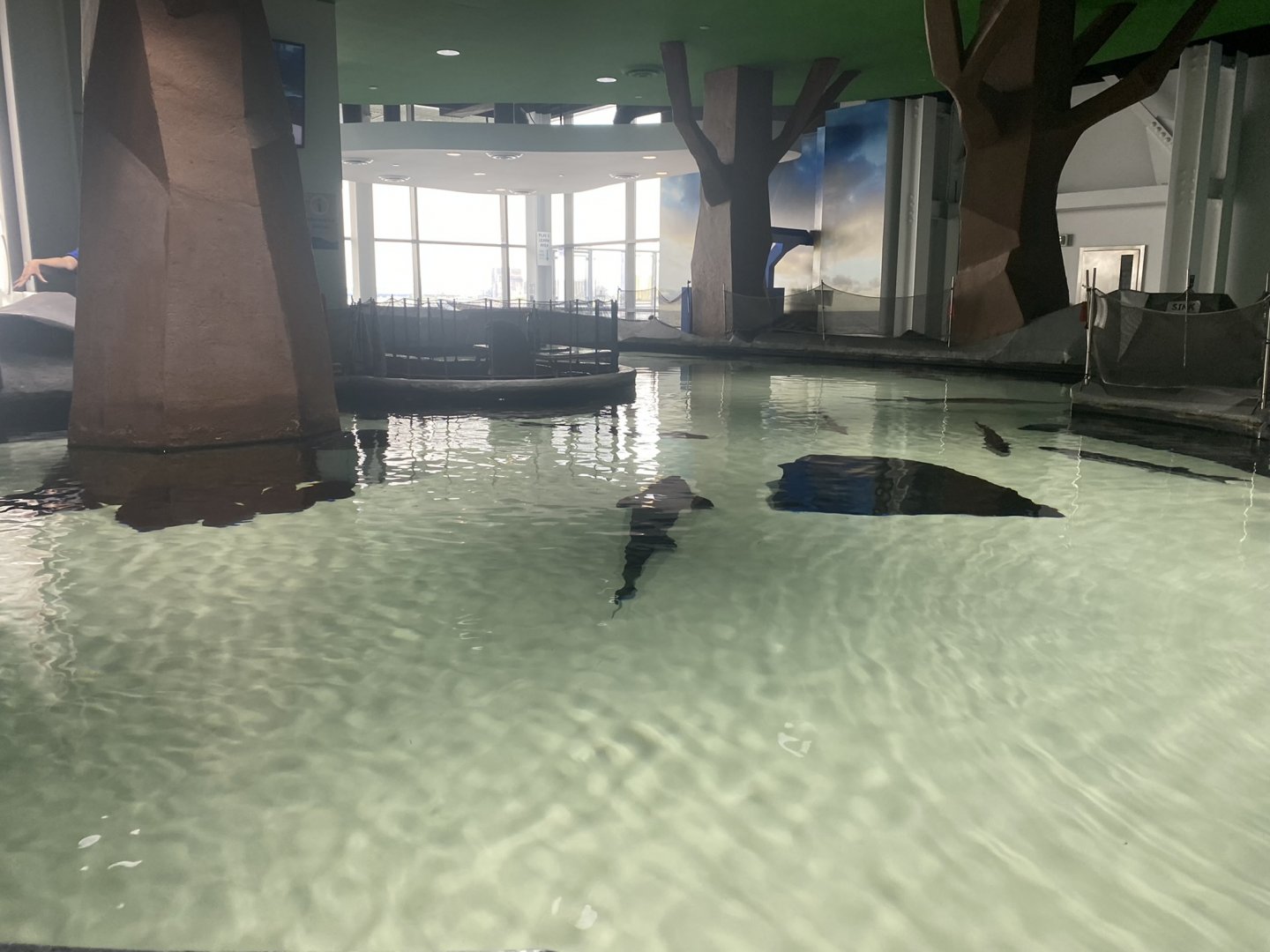 Unsalted Seas - Sturgeon Touch Tank