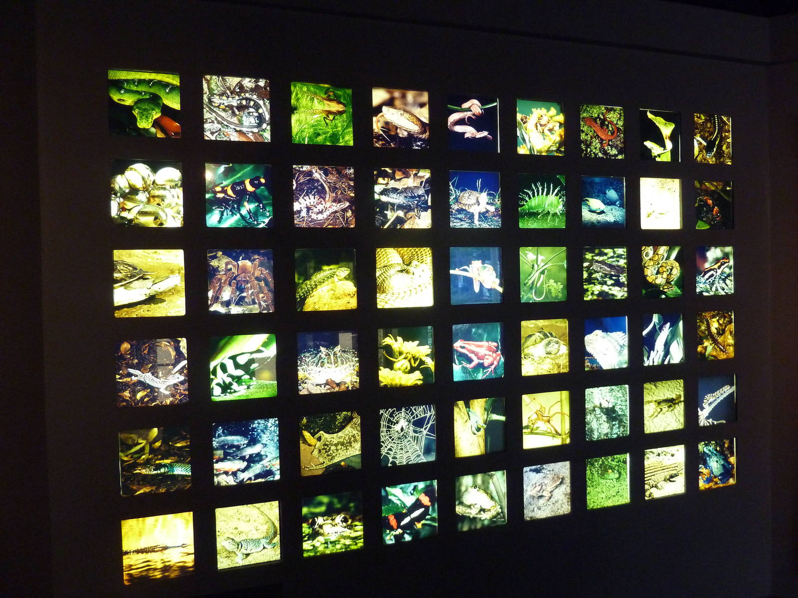 Unseen New World - Signage