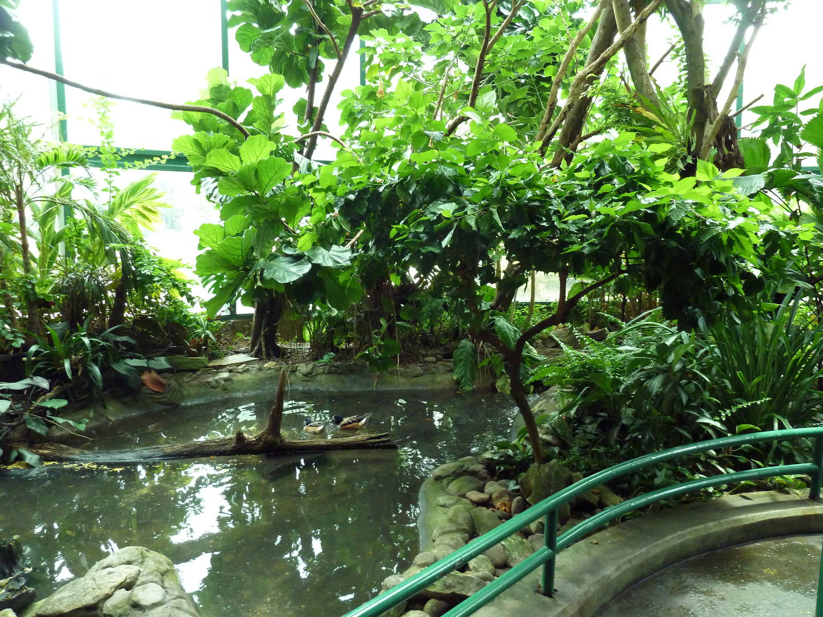 Unseen New World - Walk-Through Bird Aviary