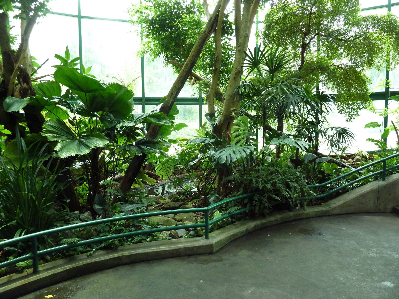 Unseen New World - Walk-Through Bird Aviary