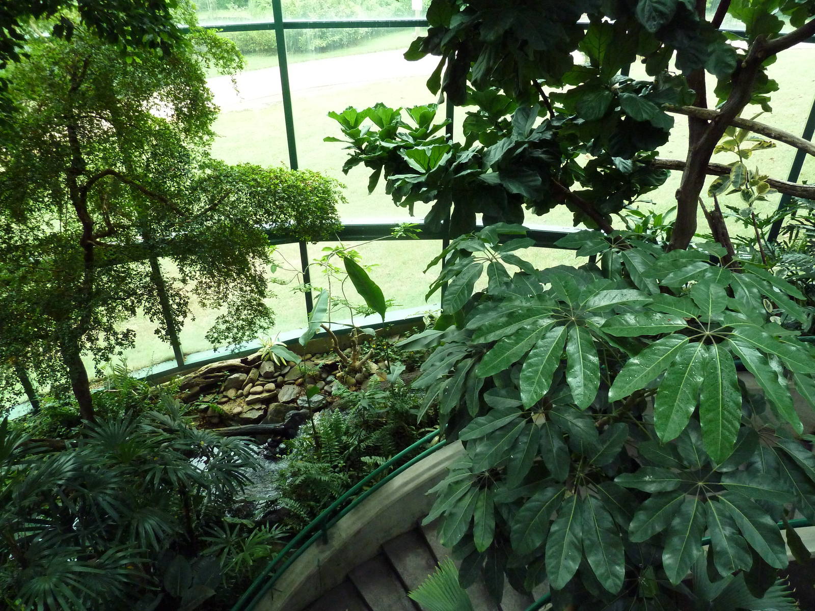 Unseen New World - Walk-Through Bird Aviary