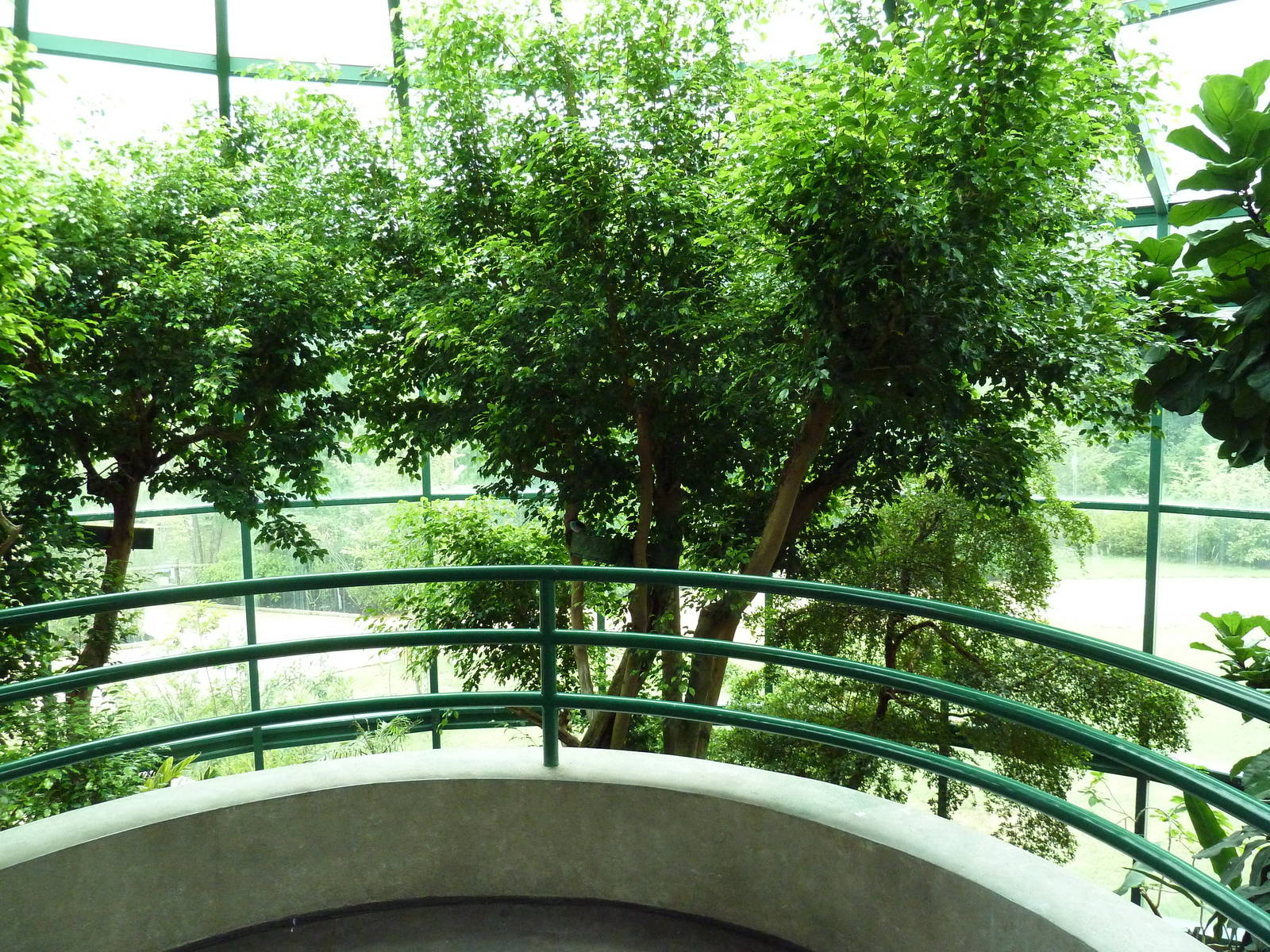 Unseen New World - Walk-Through Bird Aviary