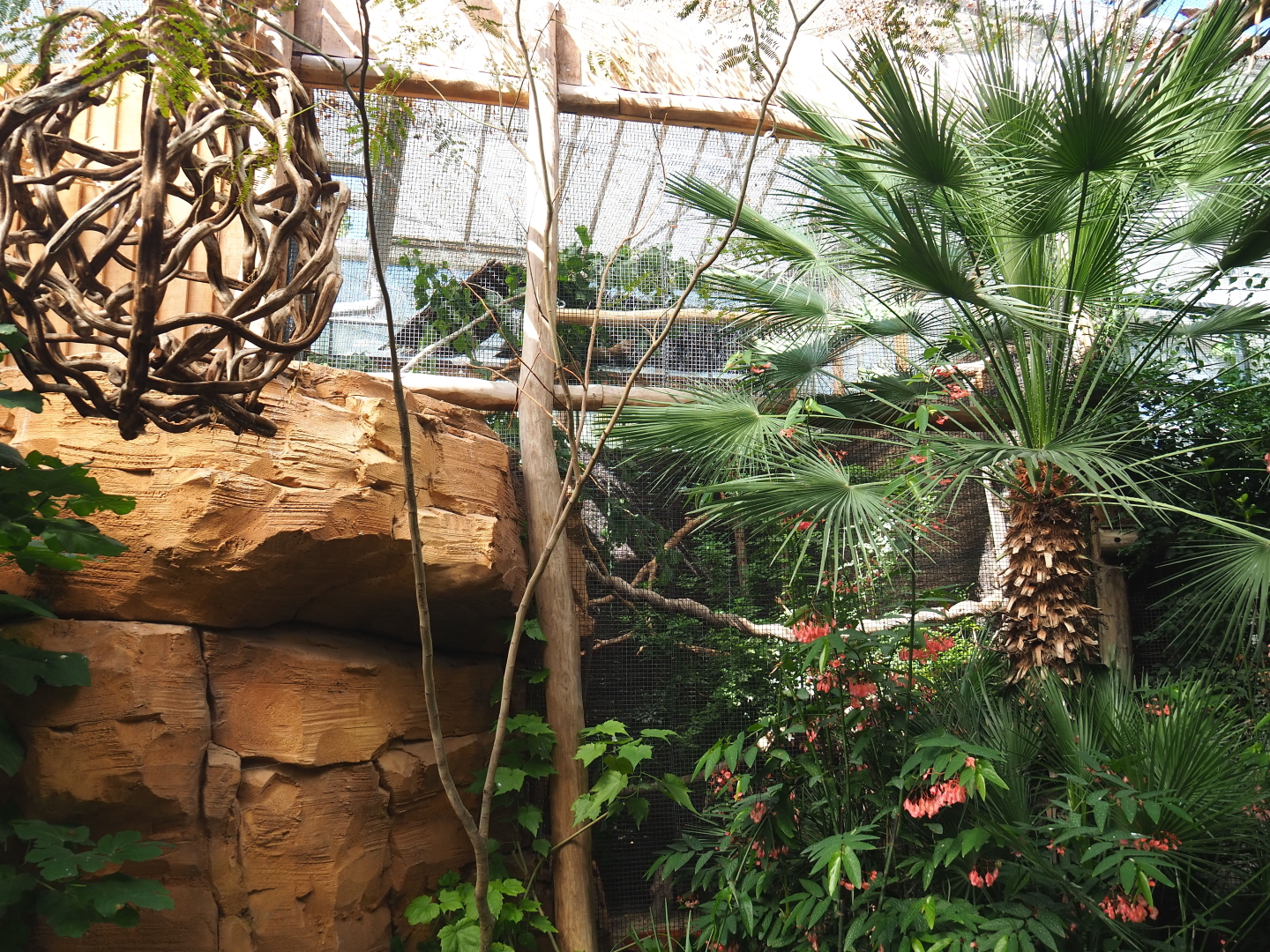 Unsigned and partially hidden aviary, 2021-09-03