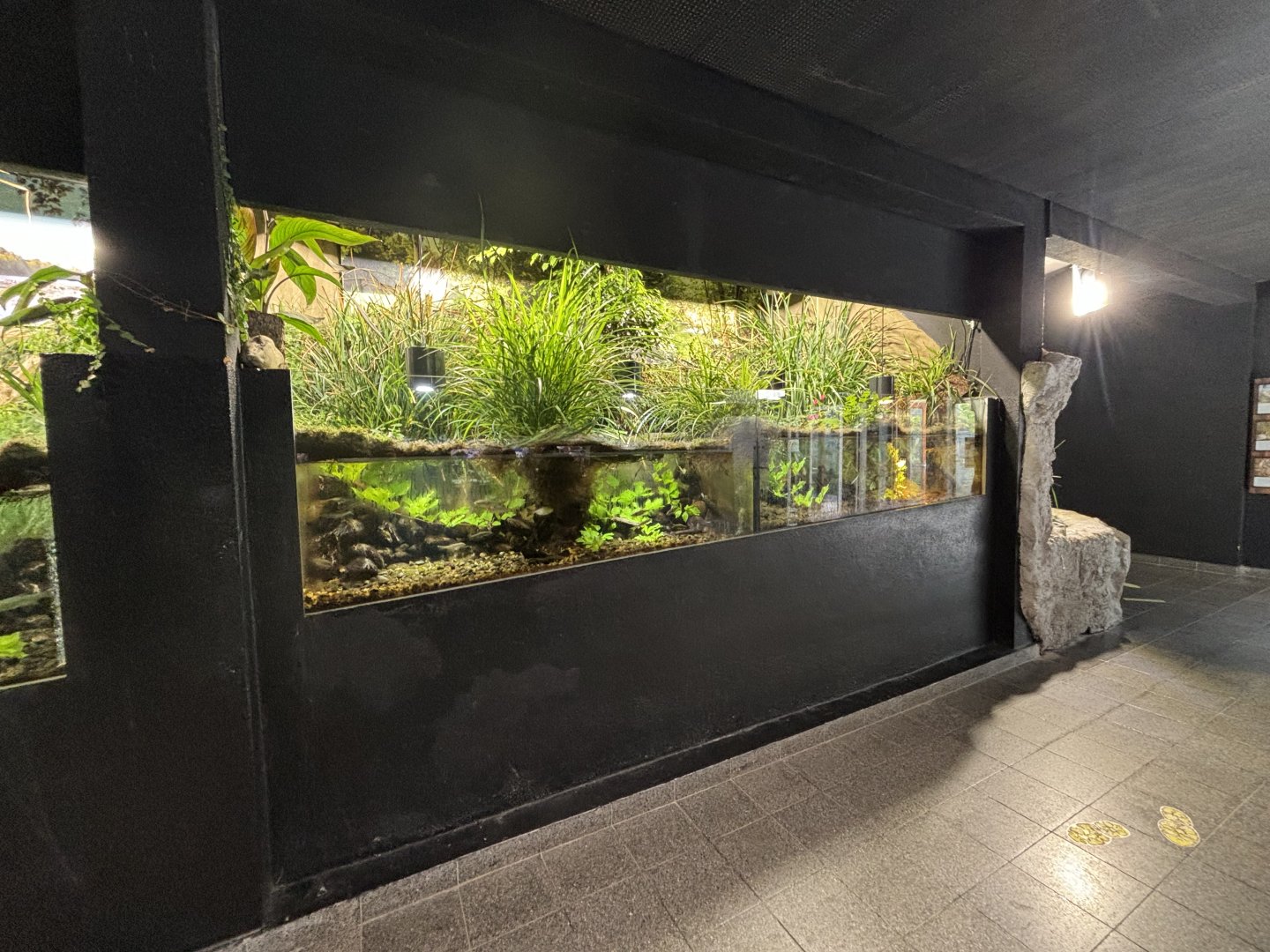 Unsigned European fish enclosures