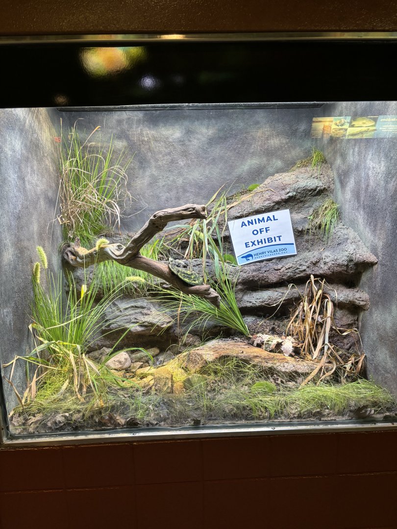 Unsigned New Exhibit