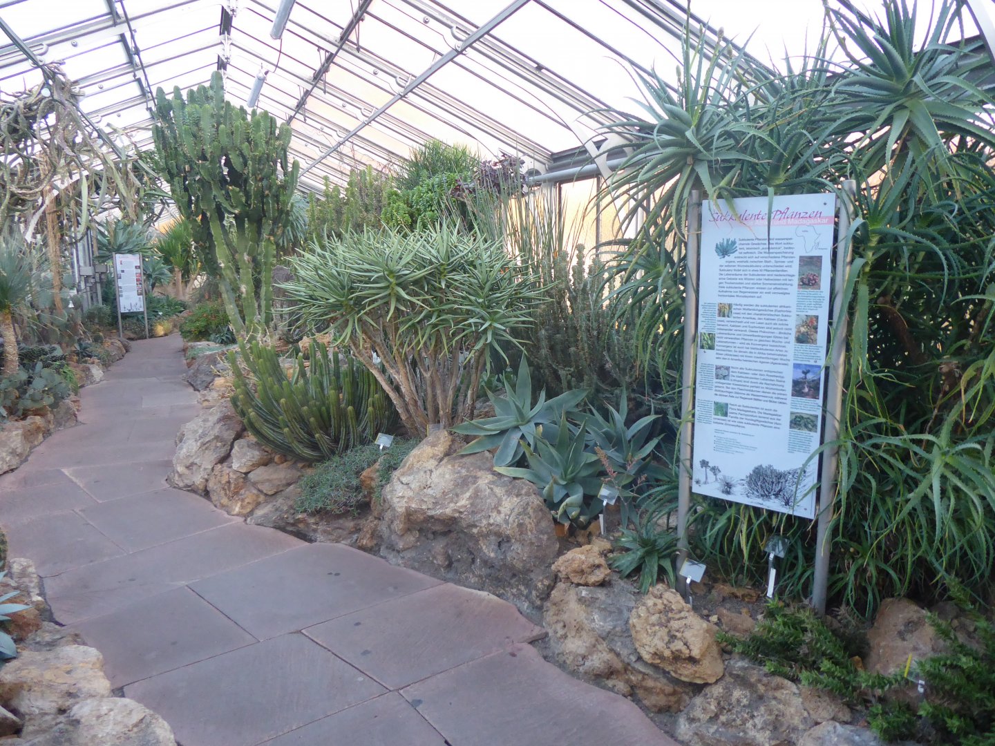 Unteres Kakteenhaus 011218