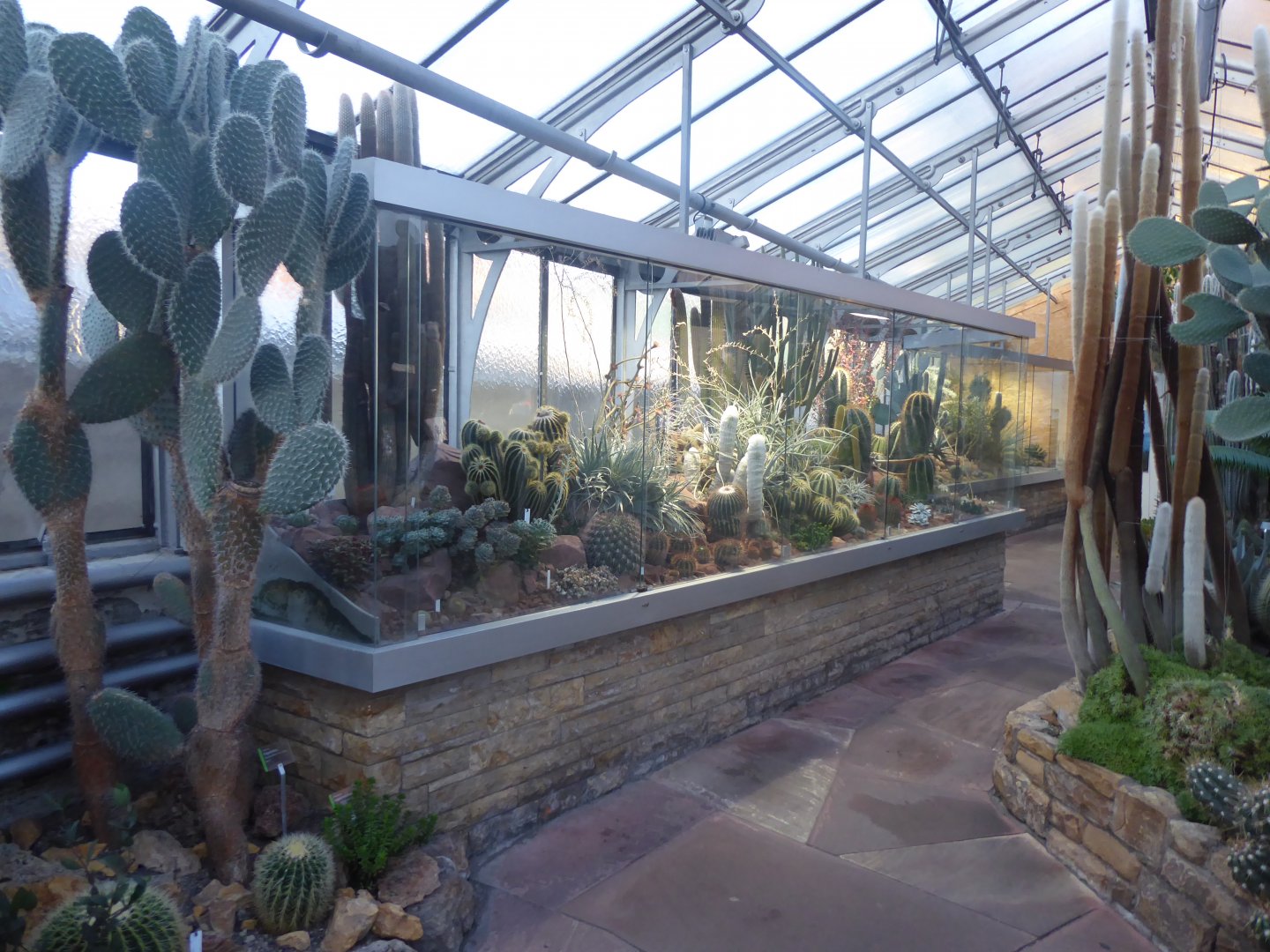 Unteres Kakteenhaus 011218