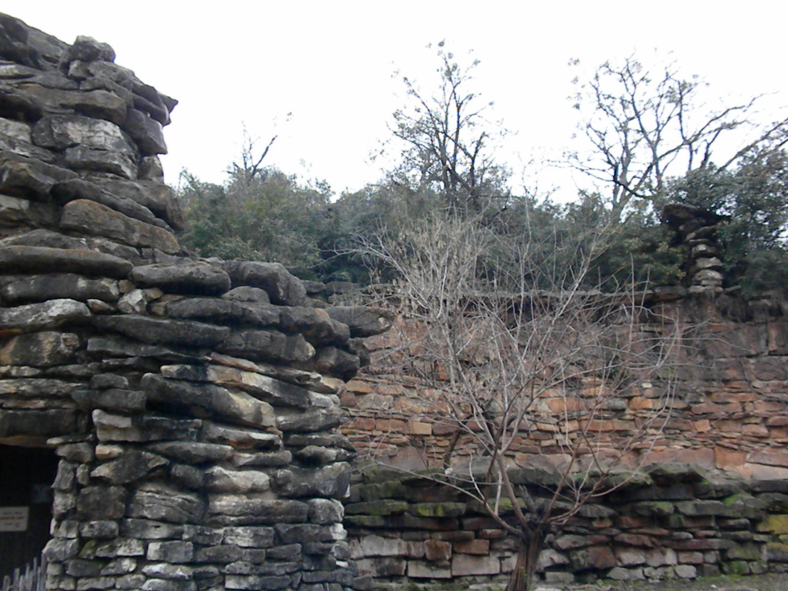 Unused caprid exhibits above the lion exhibit