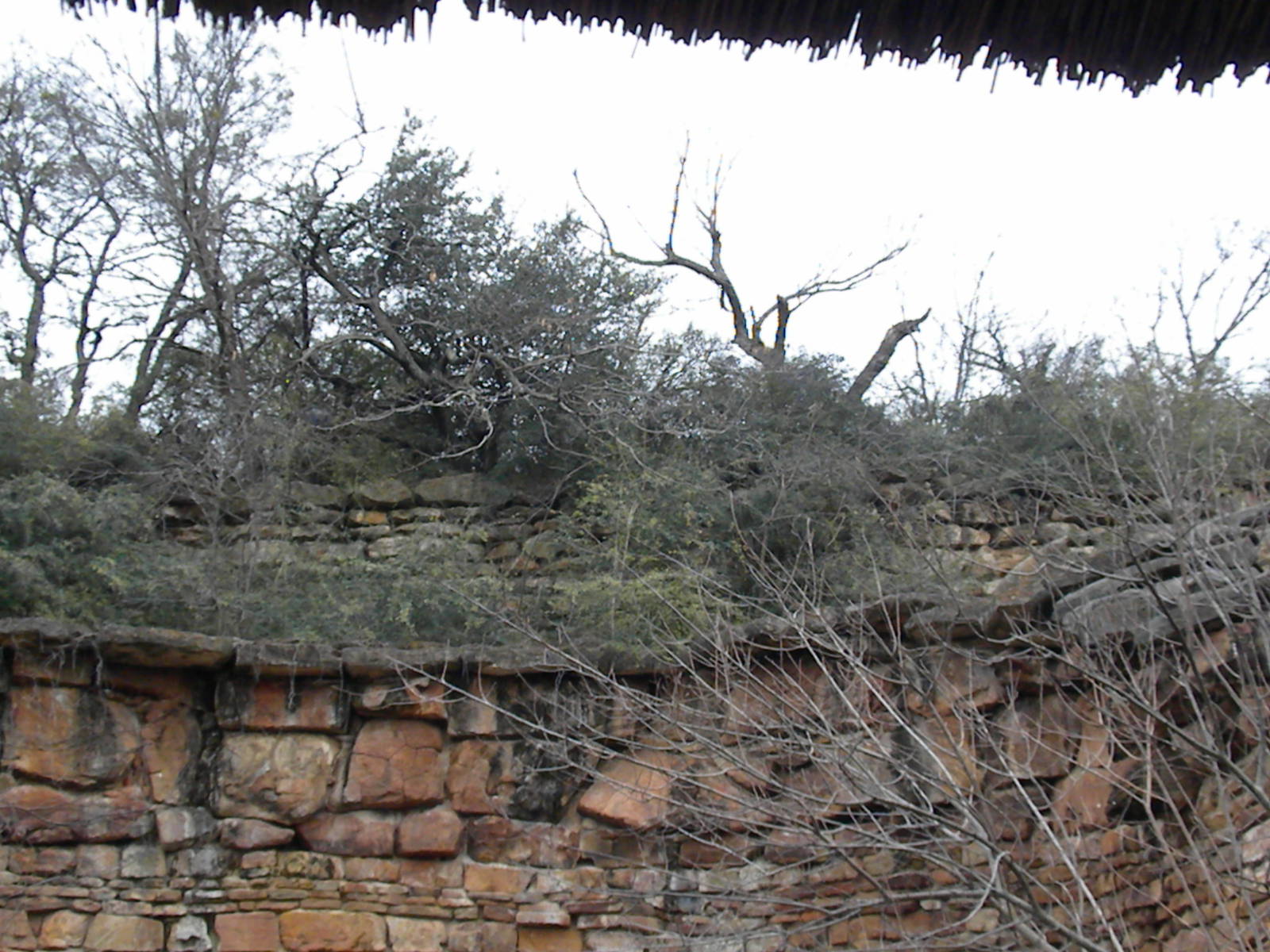 Unused caprid exhibits above the lion exhibit