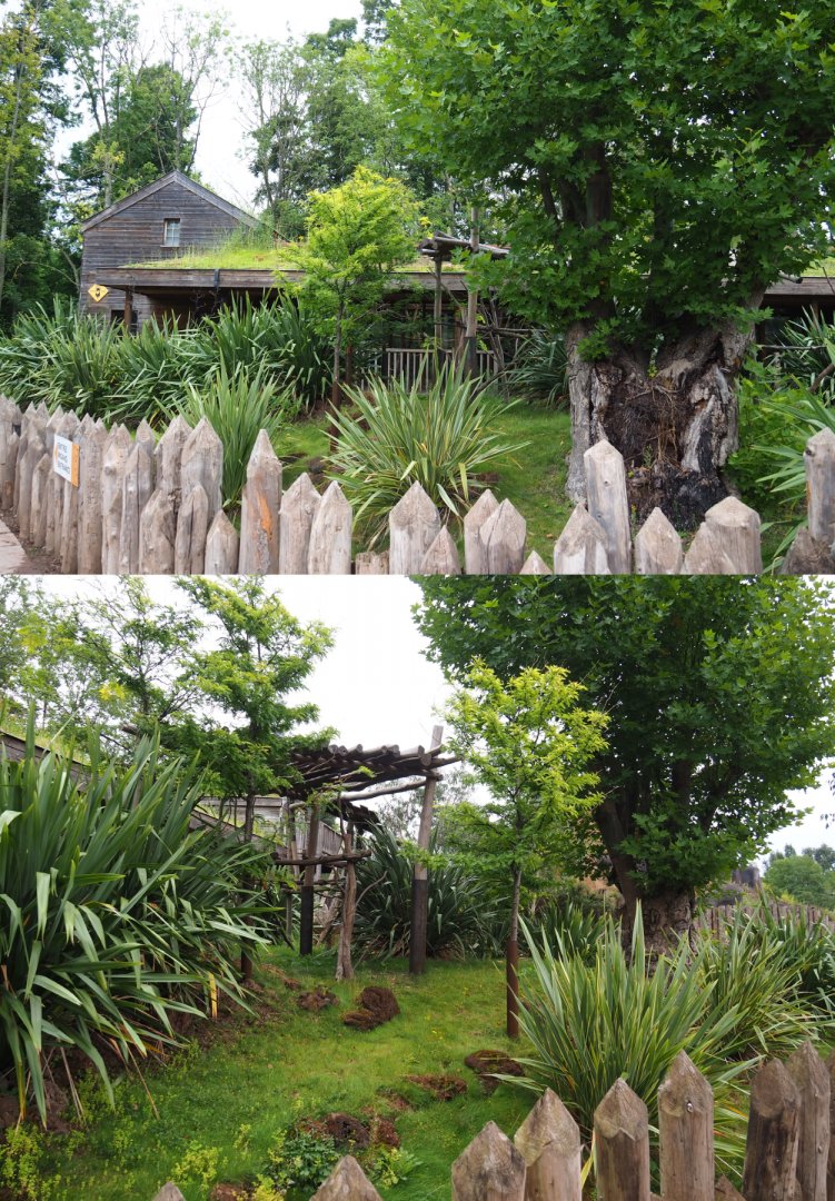 Unused koala outdoor area, 2020-09-03