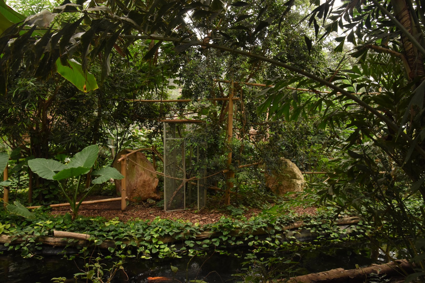 Unused monkey island