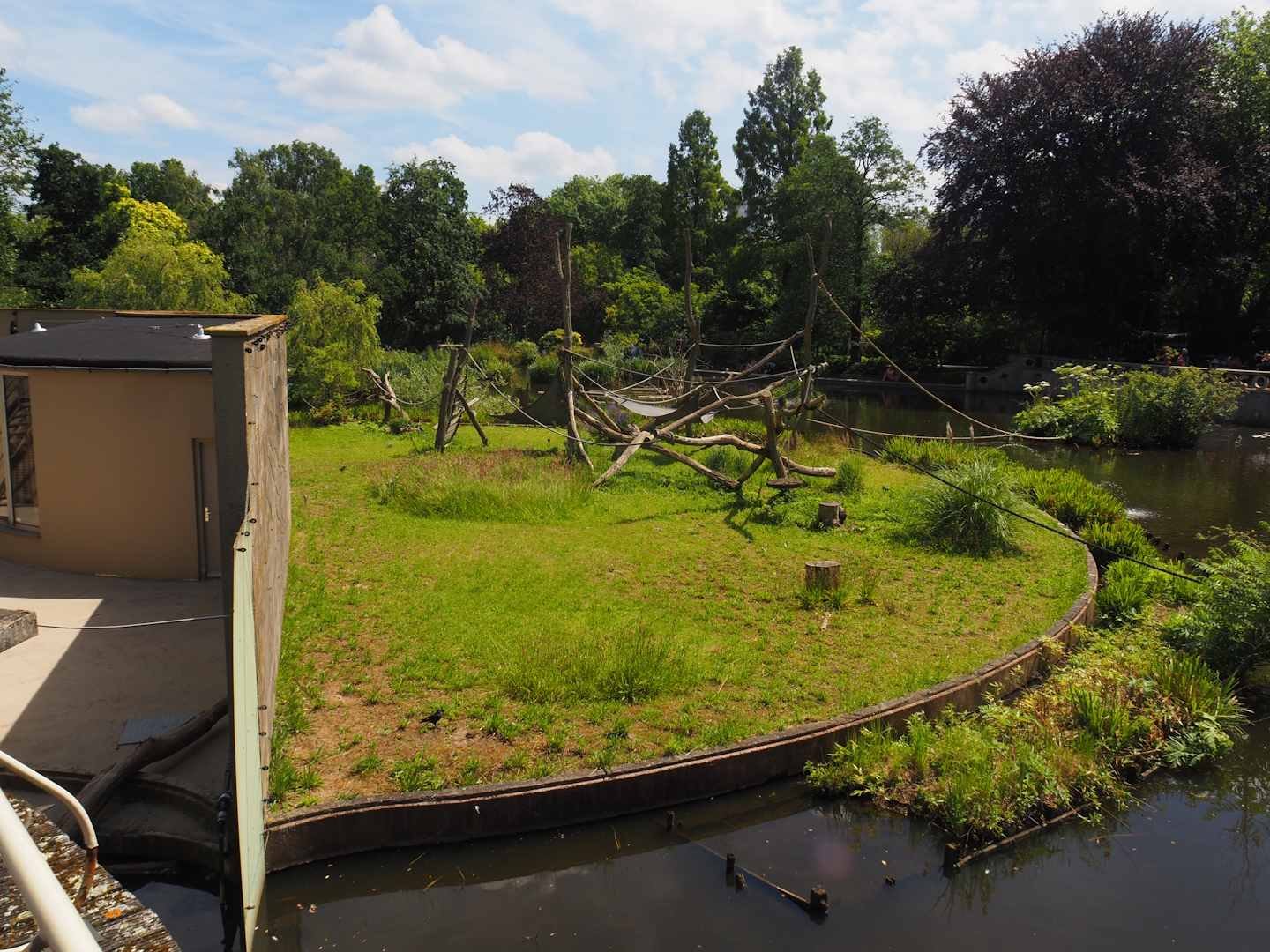 Unused primate island in the large pond, 2024-06-30