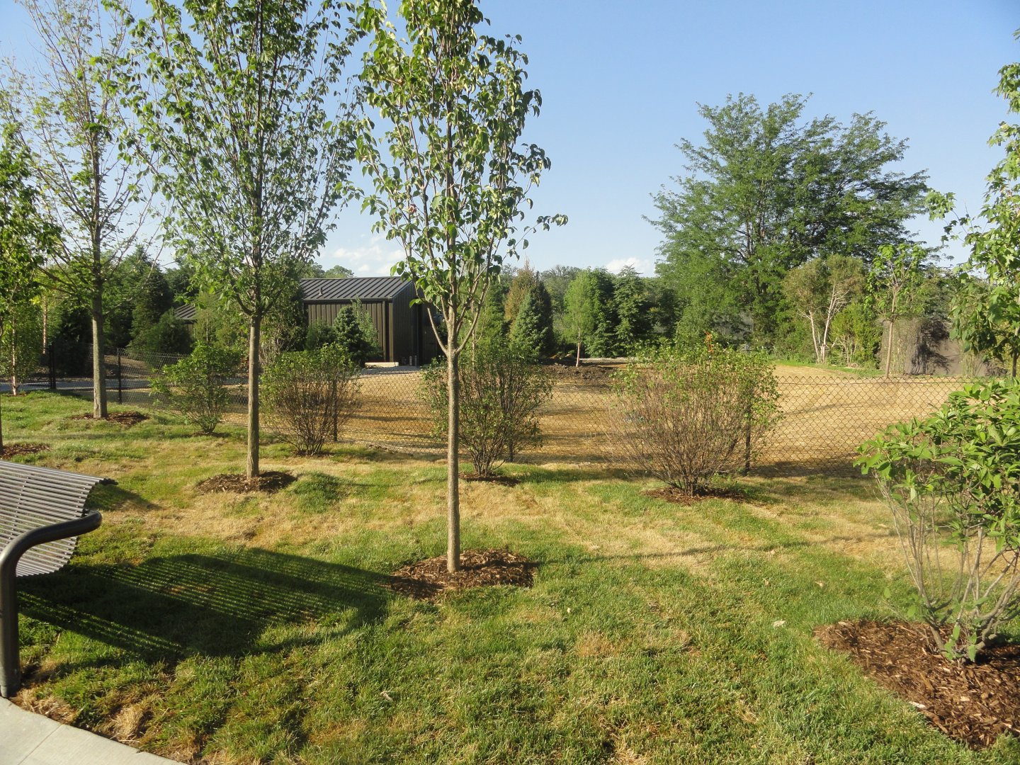 Unused Space by Orangutan Forest/Sea Lion Shores Maintenance