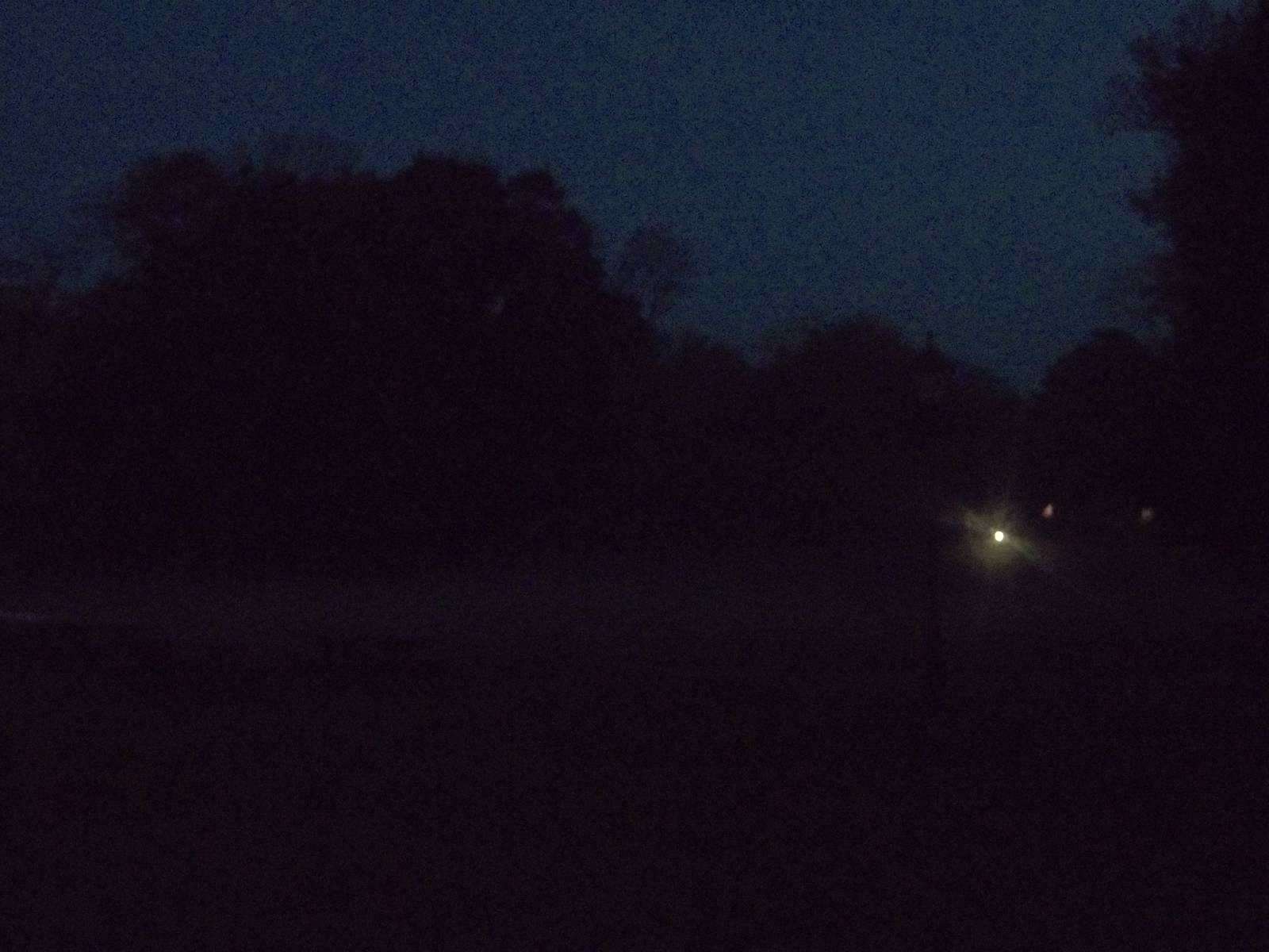 Unusual fog on the putting green across the path from the zoo, 31st October