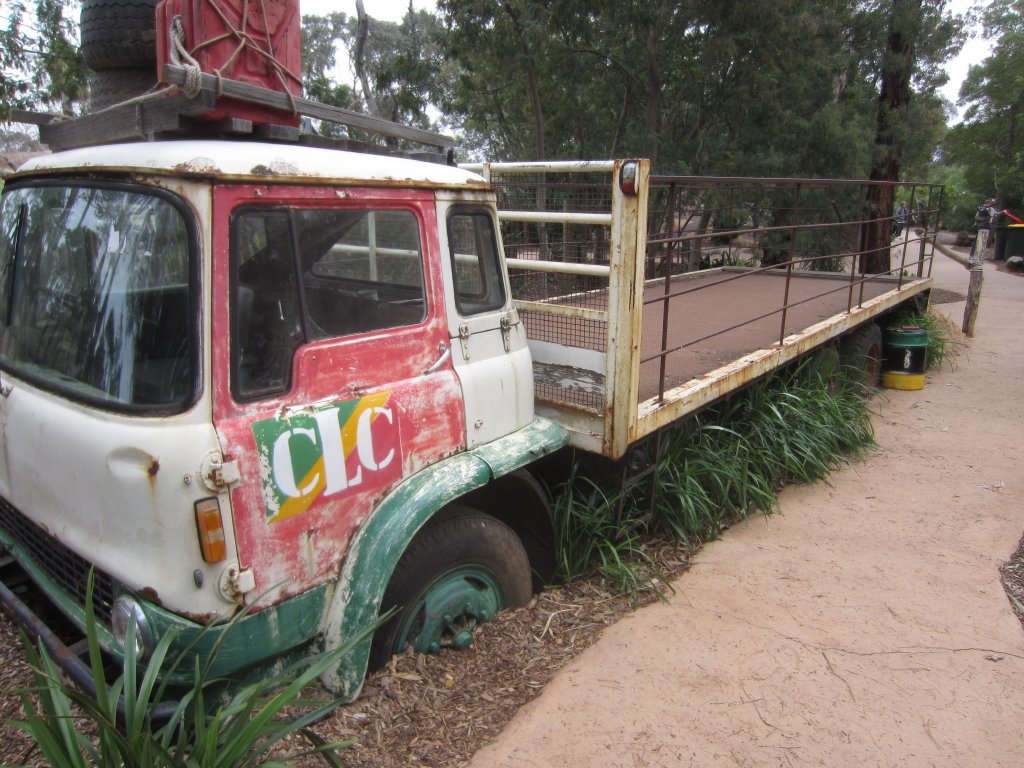 Unusual gorilla viewing