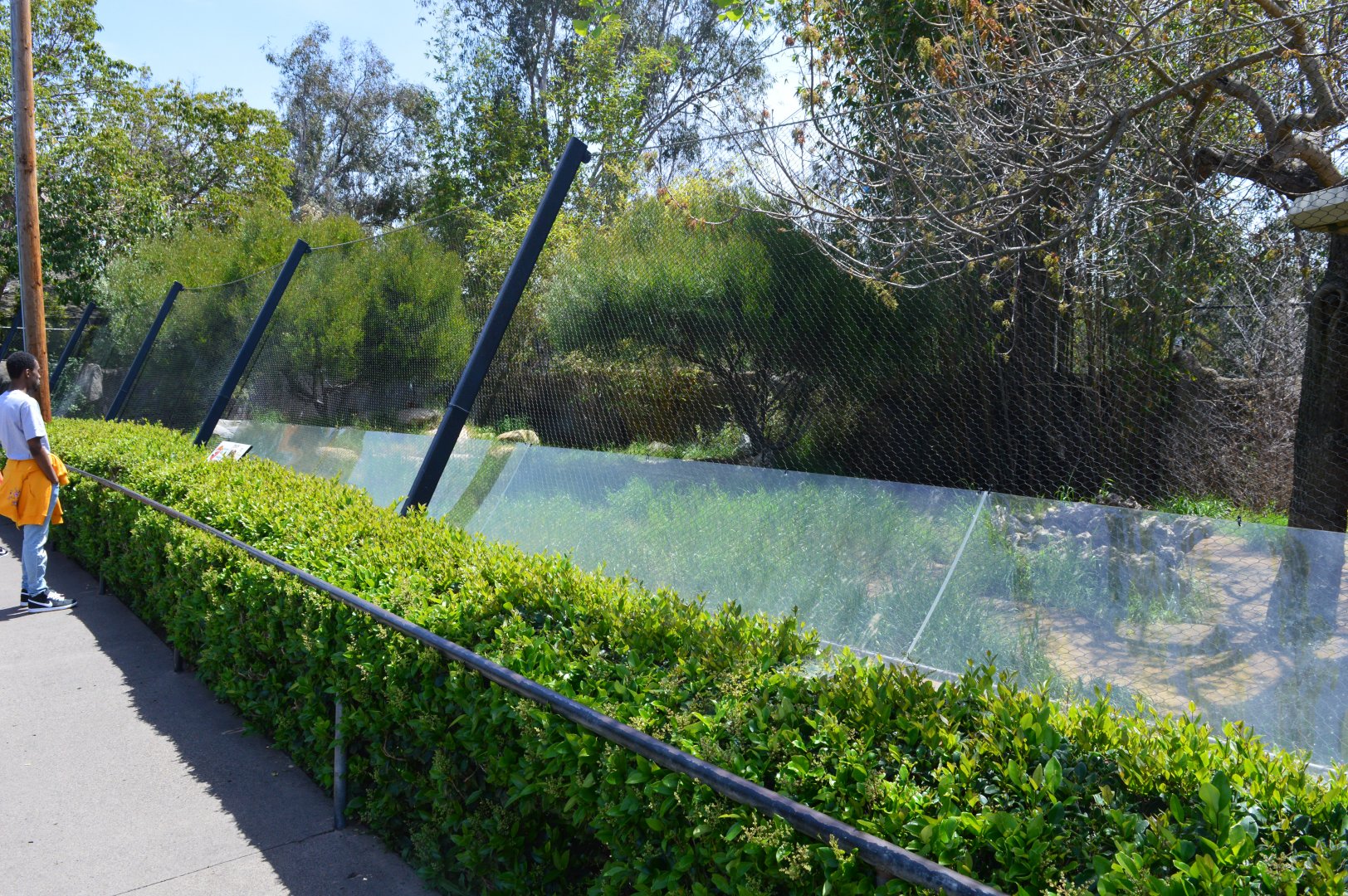 Unusual Maned Wolf Fence